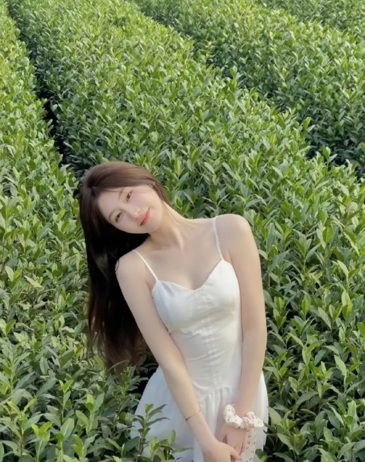 绿茶可清火 美人抚人心