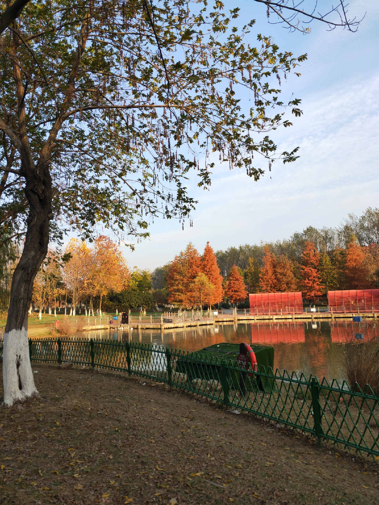 我找到了一个绝佳的地方——府河郊野公园!