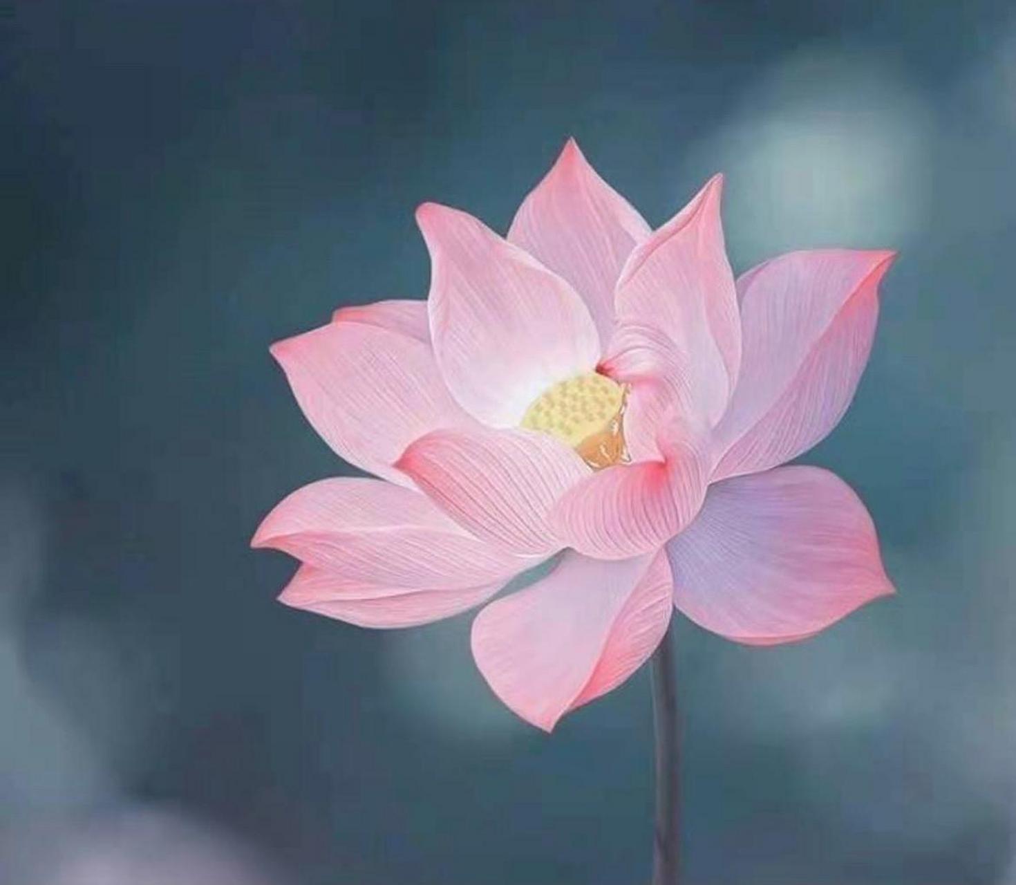 "忍"并不是每个人都可以做到的,有的人可以忍下万般折磨,有的人则做不