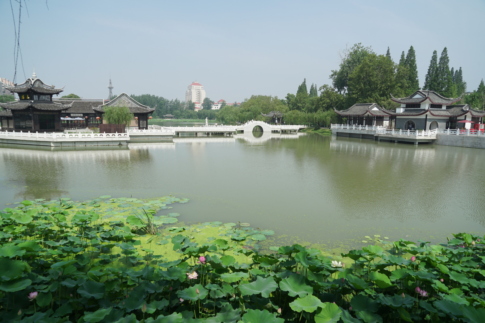 荷花池公园,位于江苏省扬州市荷花池路西侧,原名南池,砚池,为清初扬州