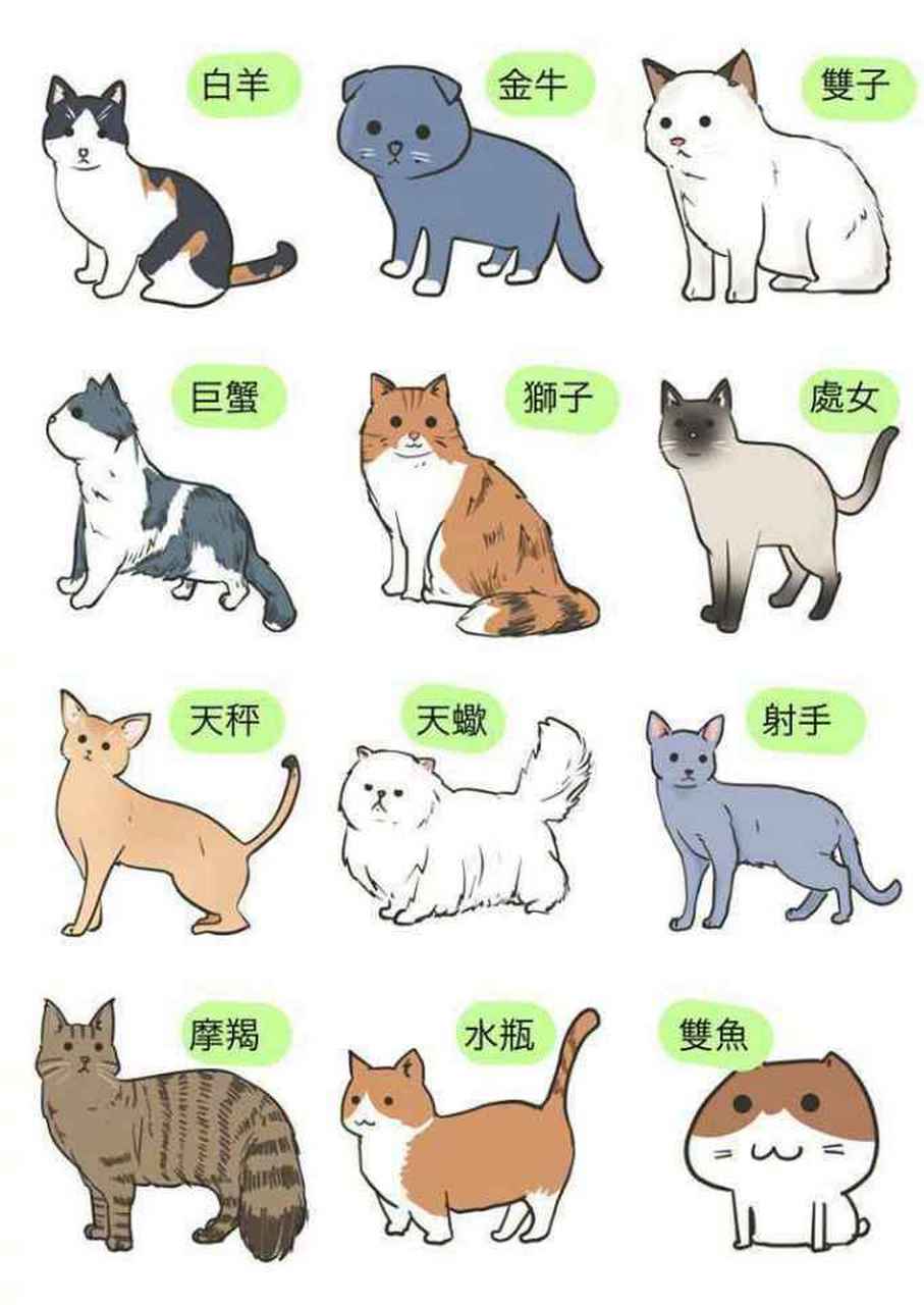 星座# 如果十二星座变成动物,那么你是哪一个呢?