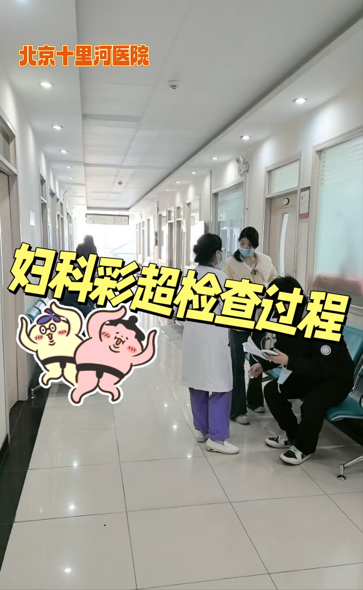 包含北京妇产医院、护士全程协助陪同号贩子挂号，懂的多可以咨询的词条