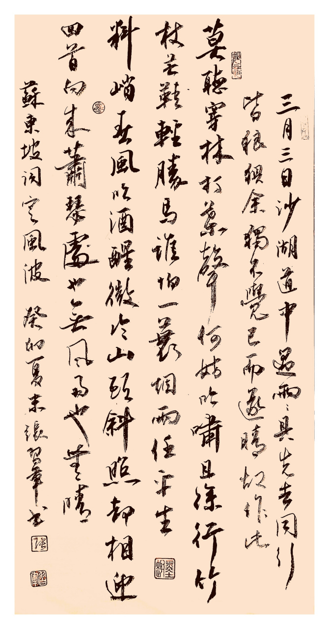 再写苏轼词一首  定风波～一蓑烟雨任平生