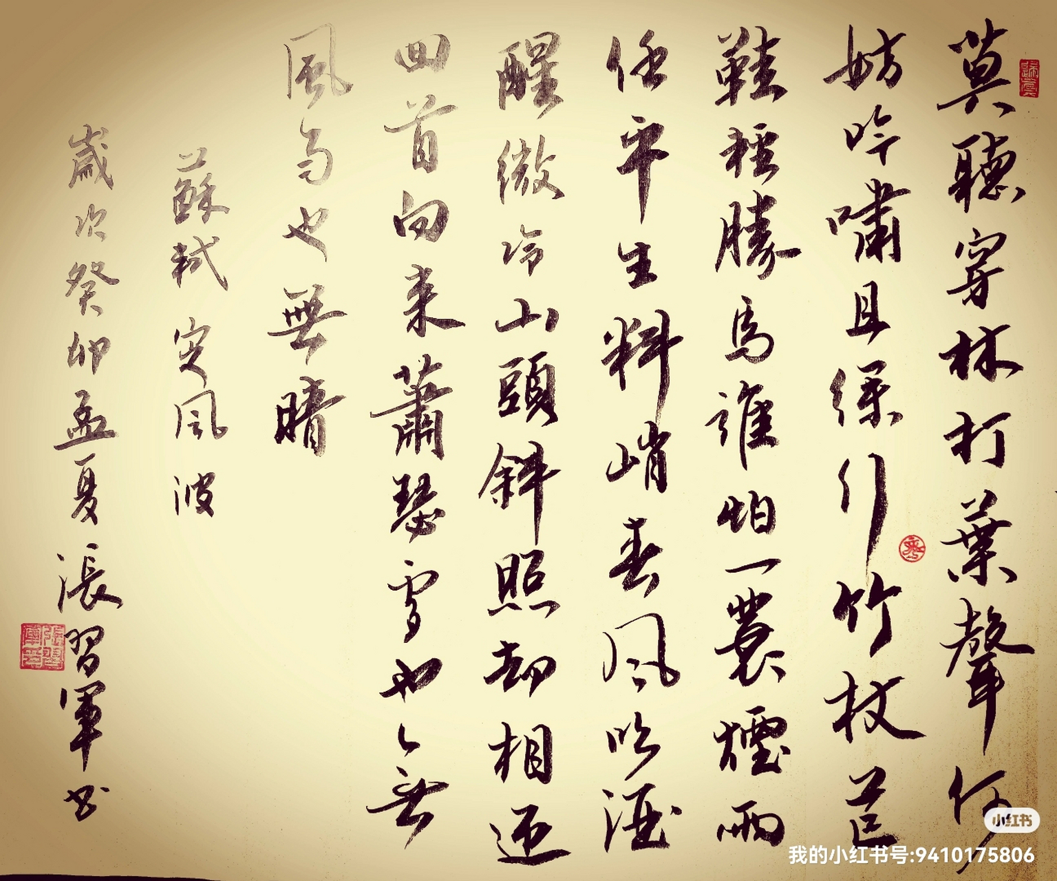 写一幅字,刻一枚小石子,一蓑烟雨任平生.金蝉脱壳,涅槃重生!