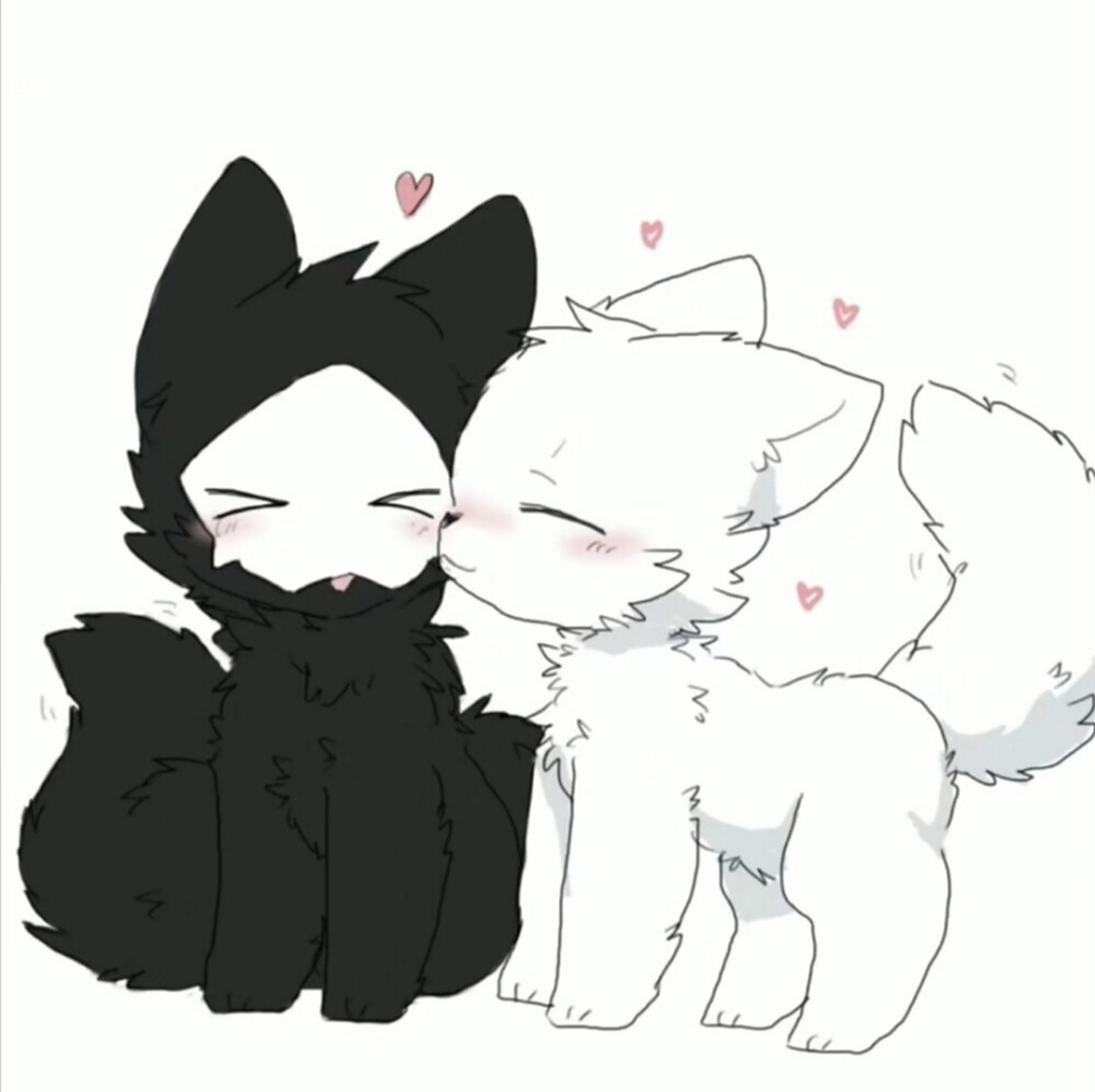 是普罗和lin呐(孩子甜傻了诶嘿嘿)