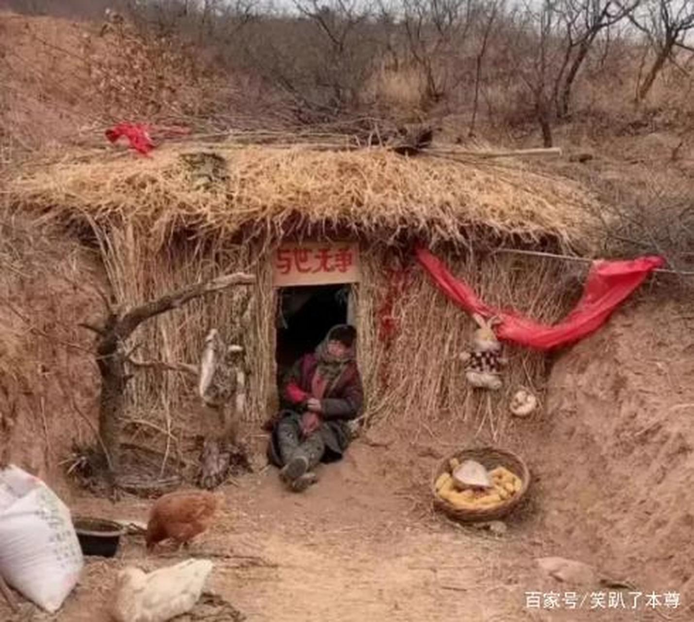 姜春芳在微博,豆瓣用"岁月致柔"等号发帖;姜春芳,赵俊龙母子在百度app