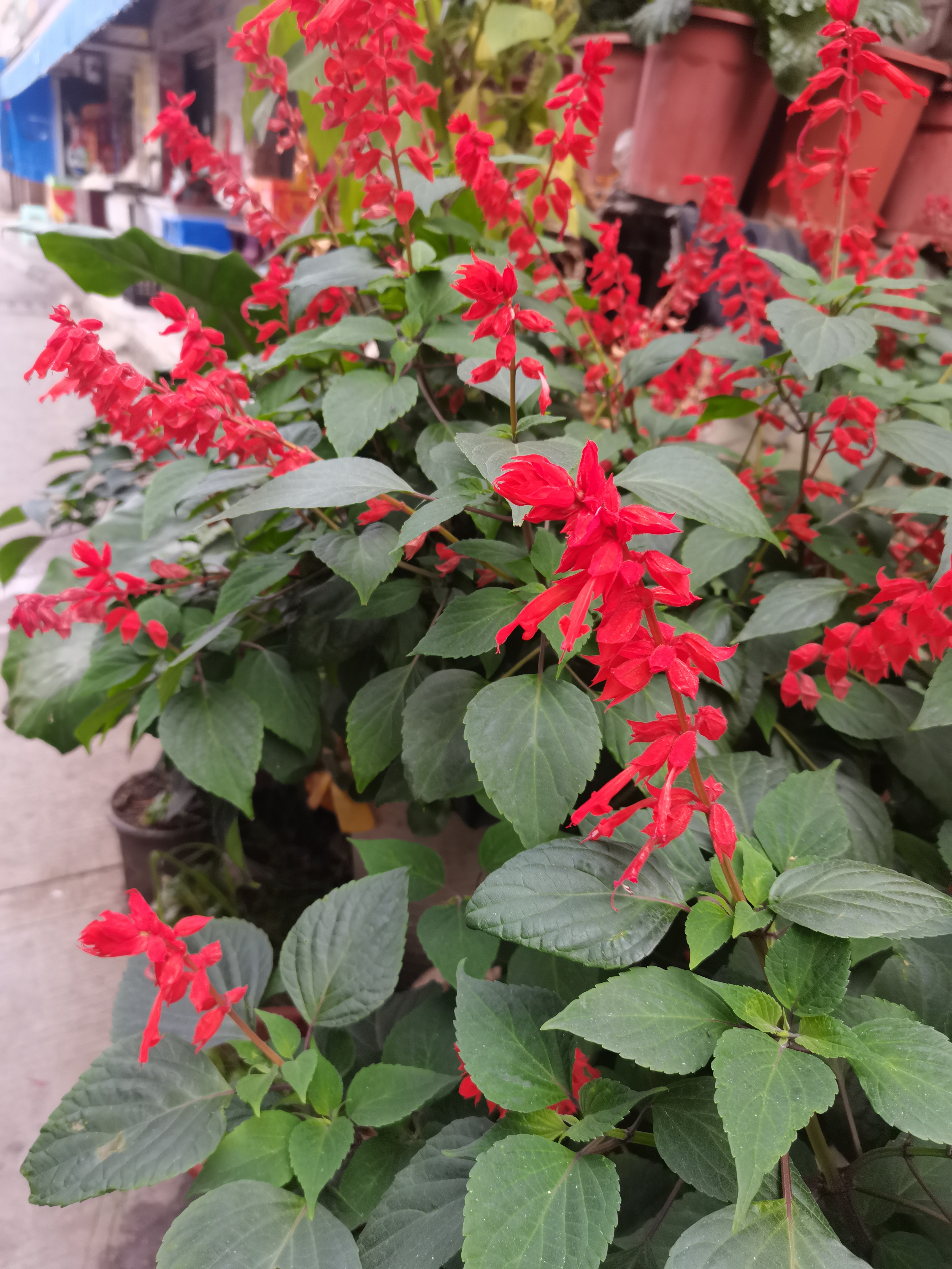 用强者心态去做事,相信自己,我永远有解决问题的能力