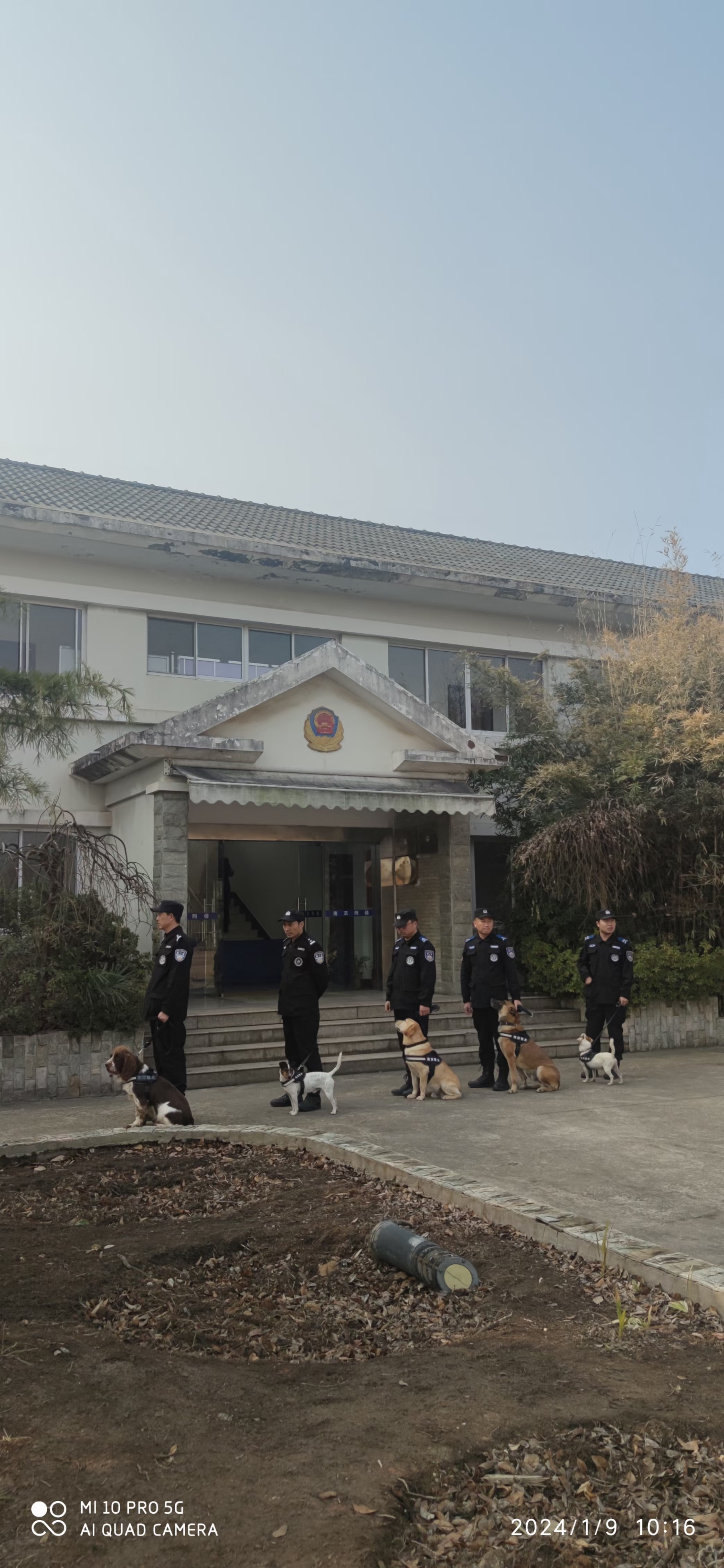 南京警犬训练基地图片