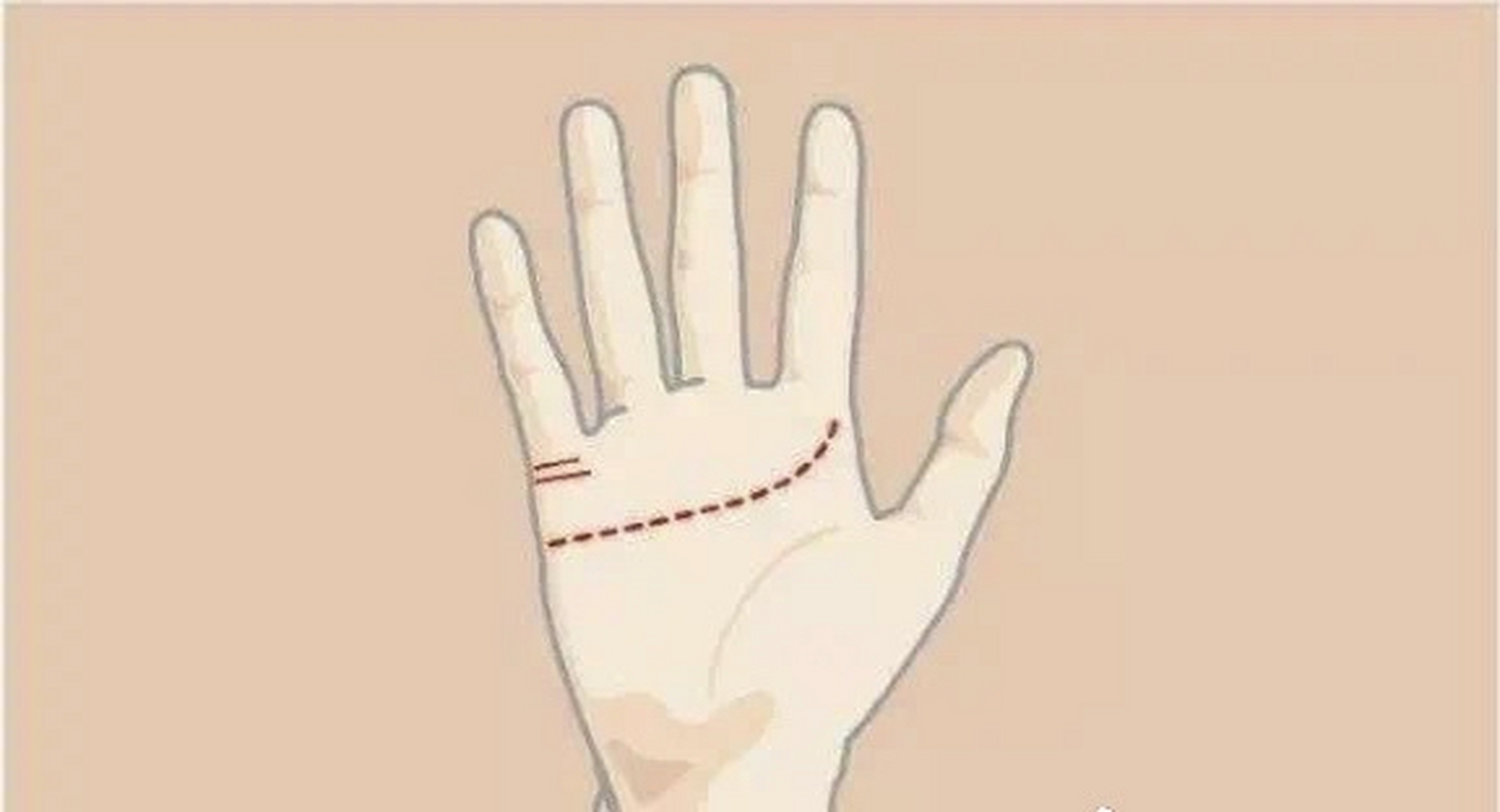 手掌心中有两条婚姻线 有此种手相主能获得温暖的爱情,但即使正式结婚