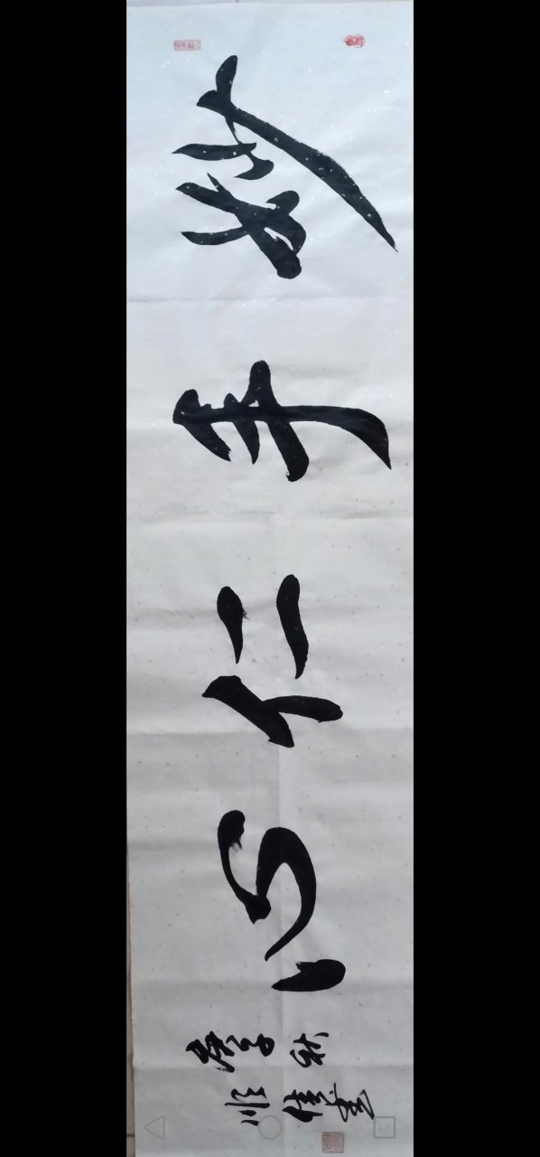 韩顺佳书法《妙手仁心》