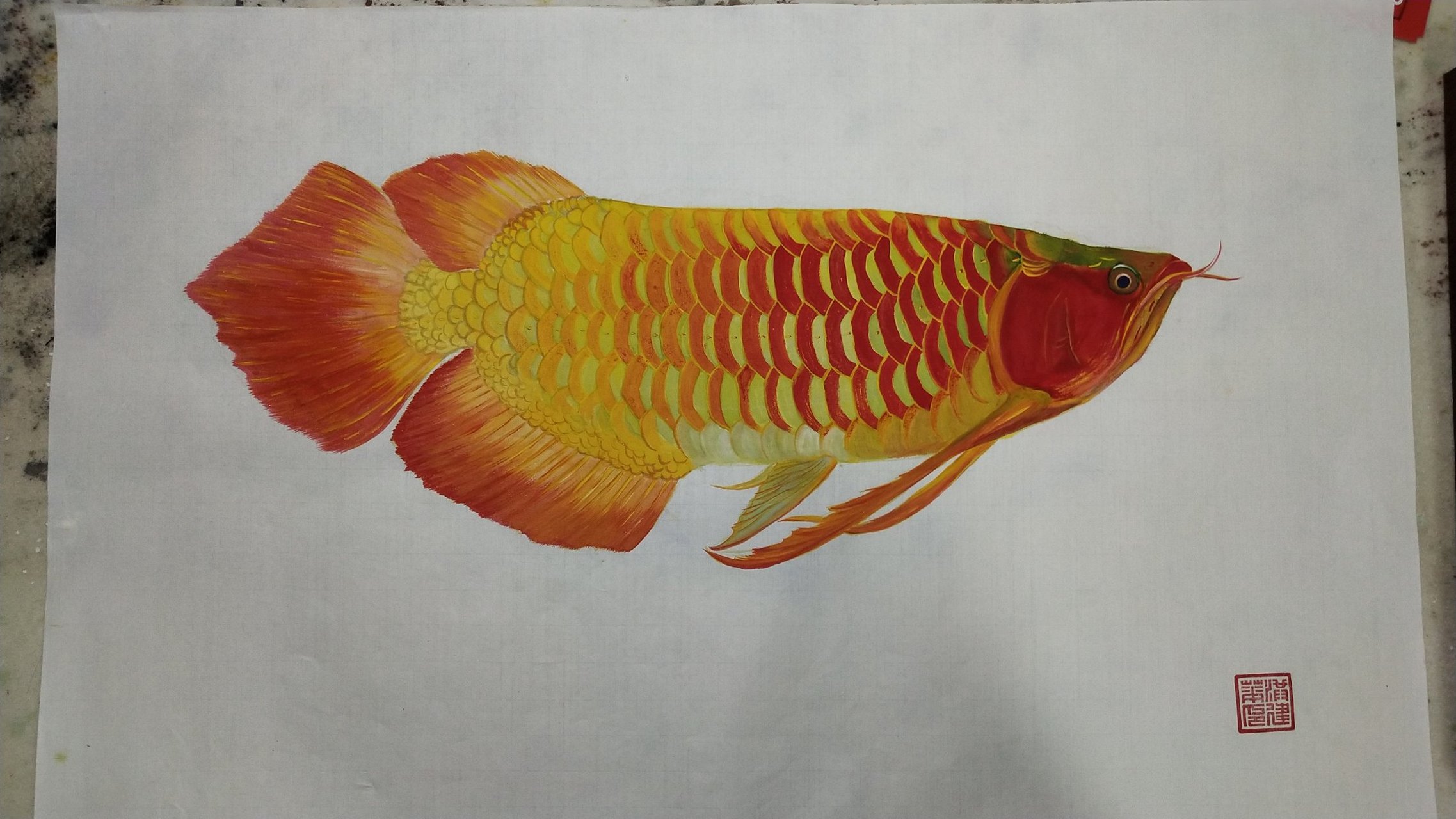 红龙鱼金龙鱼龙鱼画九龙画九龙图龙鱼工笔画国画龙鱼#观赏鱼