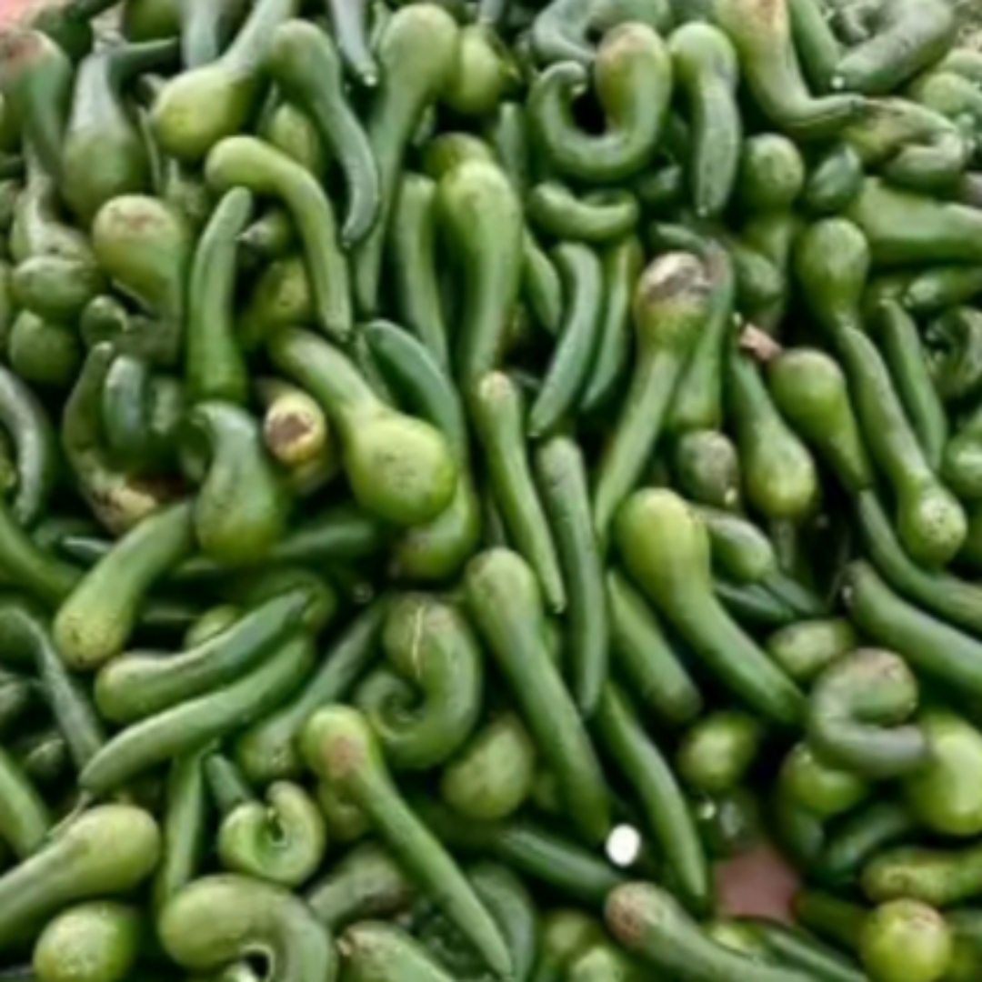 一大堆青野菜,密密麻麻,新鲜翠绿,让人垂涎欲滴.