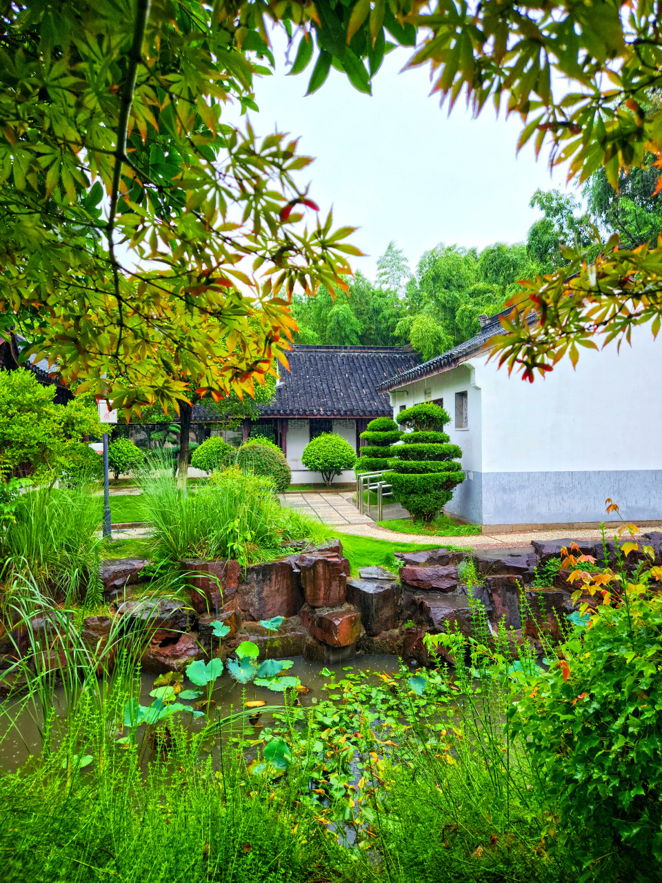 【昆山花桥有座美丽的花溪公园】花溪公园建于2006年,是随着昆山经济