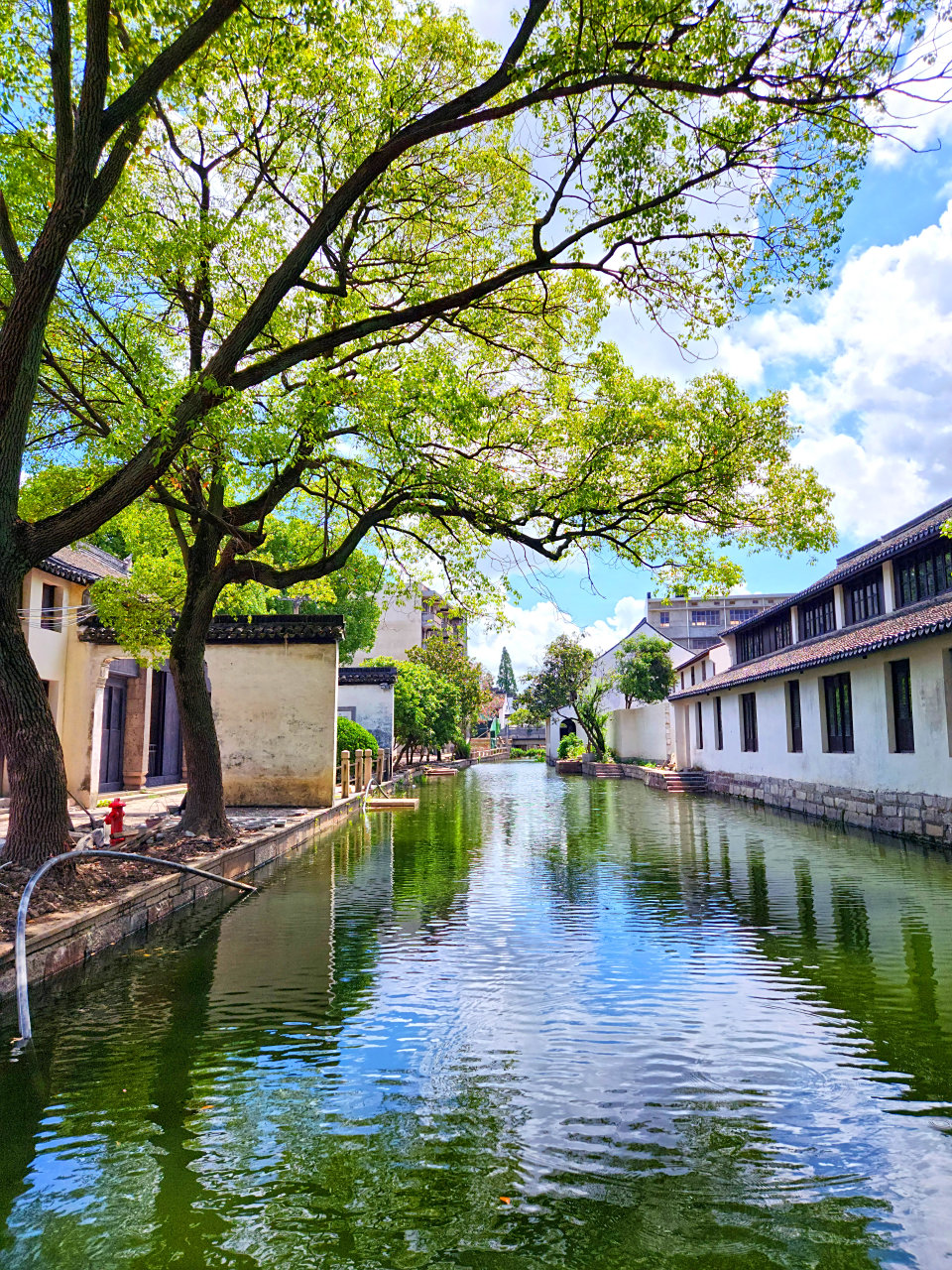 【浙江平湖市中心有条南河头历史文化街区】可以这么说,在中国,每个