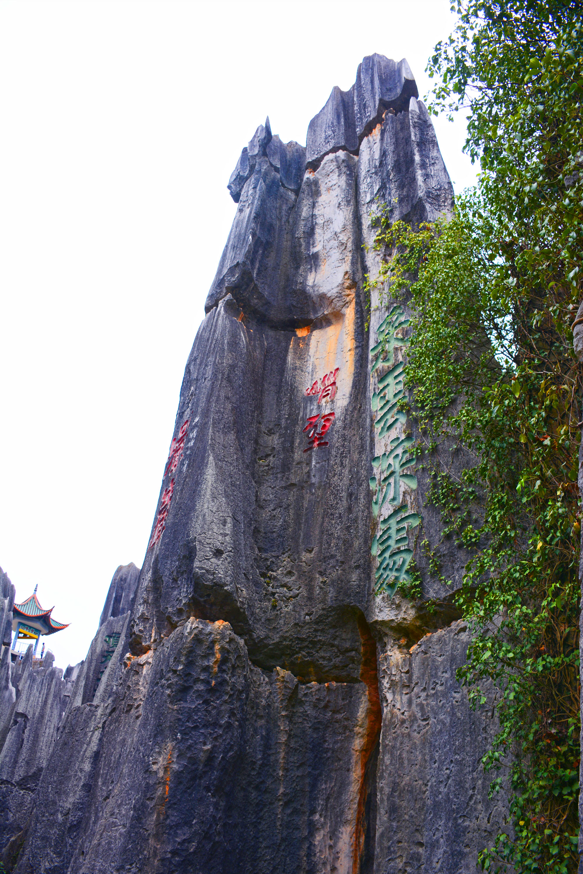 昆明石林旅游景点图片