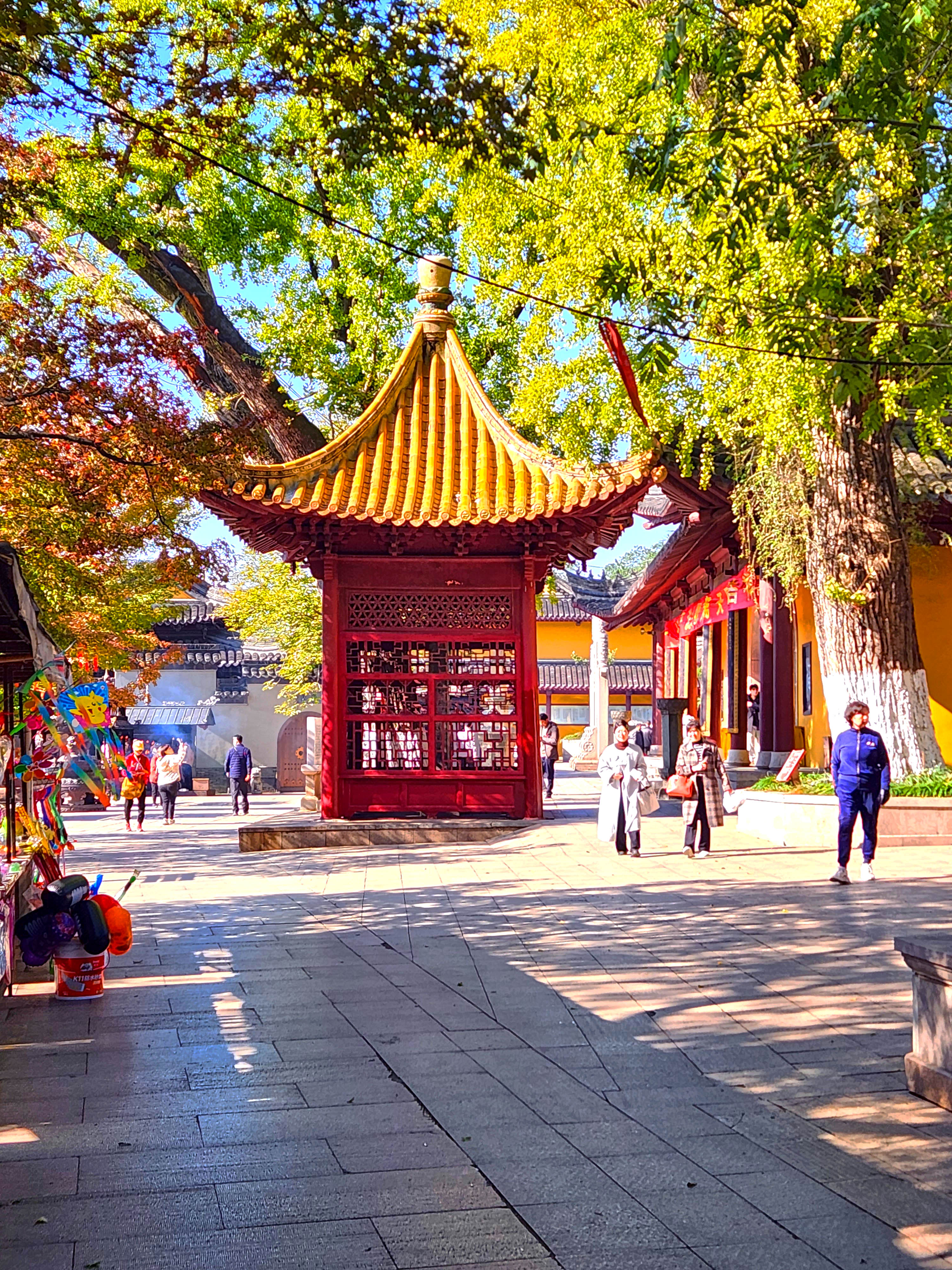 【镇江焦山公园,长江中的一座宗教旅游胜地】在长江下游——古城镇江