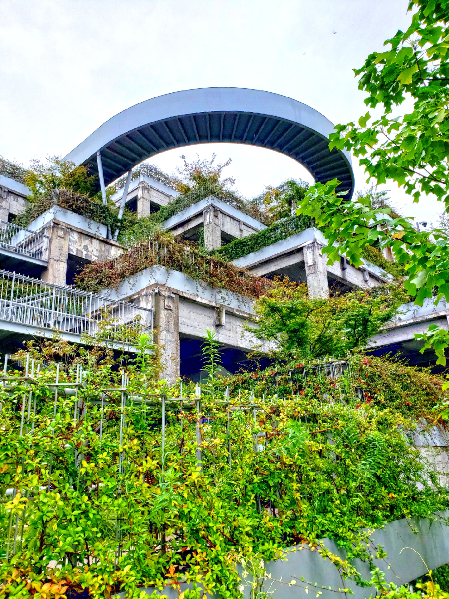 【"绿之丘"的建筑装帧之美】在浦江北岸,杨浦大桥