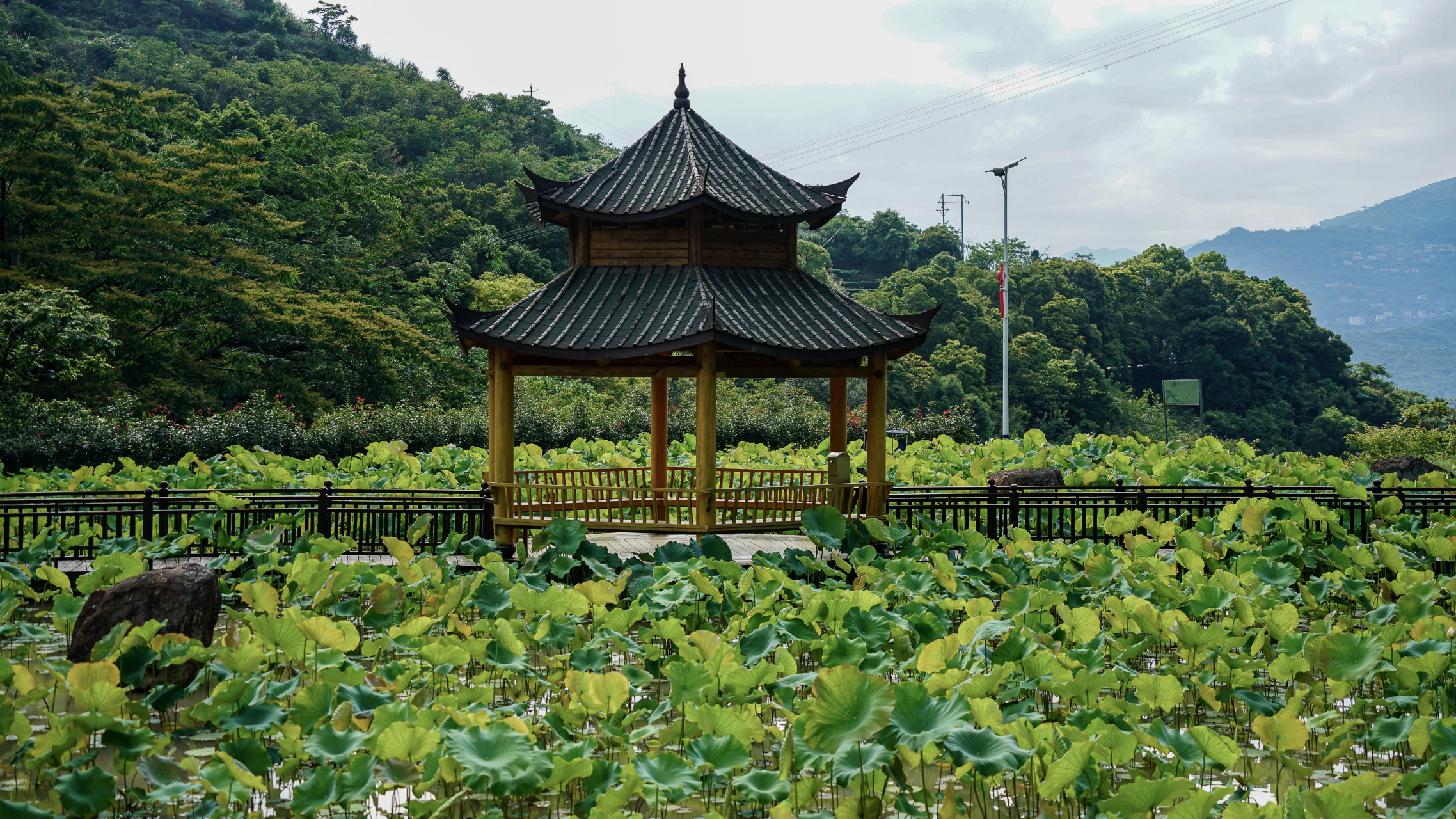 洪恩岩图片