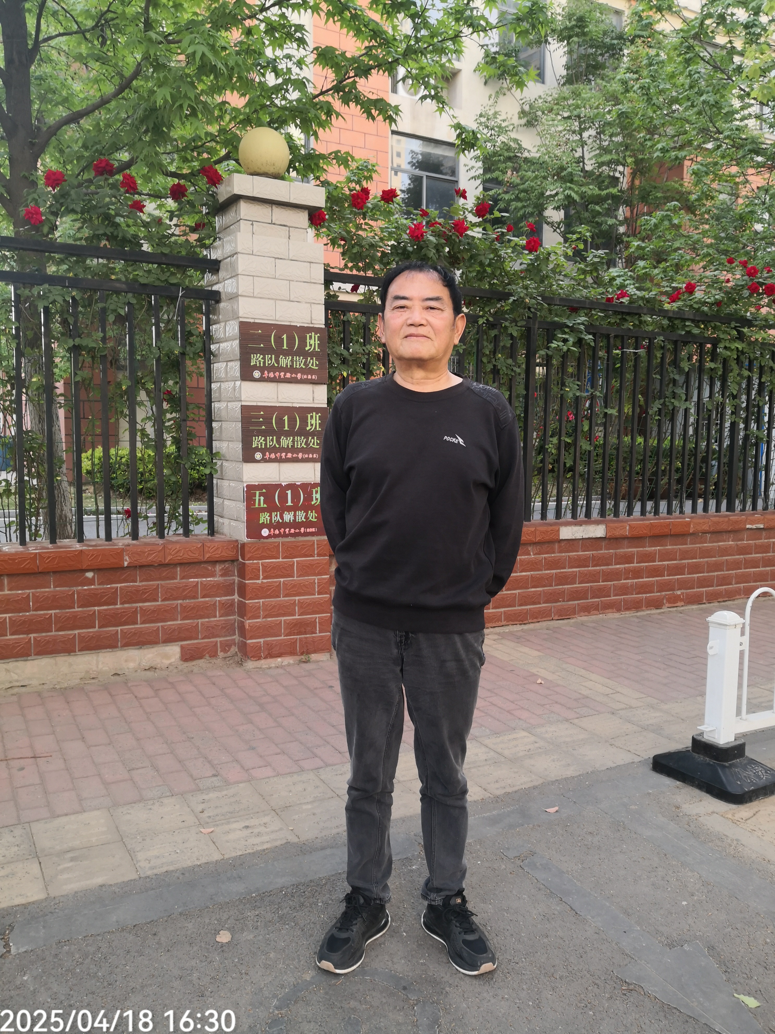 七律 槐花树下 张子耀 槐花树下忆嘉声,玉蕊琼枝照眼