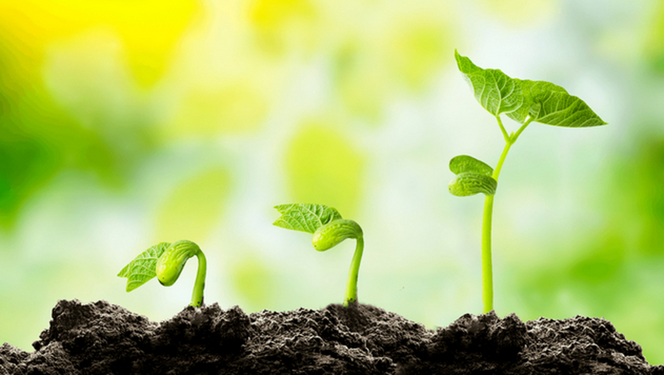 如何唤醒内在能量,实现长期成长——致良知四合院探究#致良知四合院