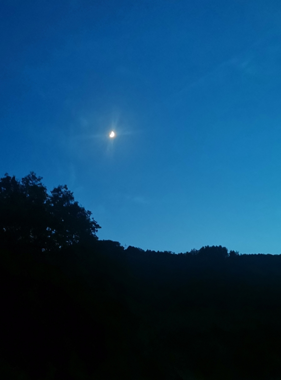 孤帆搏命写七言诗 题名:(静夜思) 入夜闲愁白发生, 儿时有梦今未成.