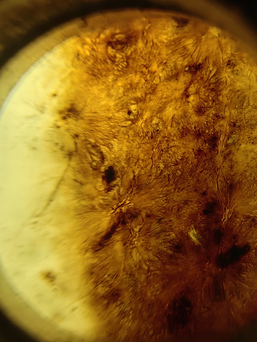 高古玉老玉# 牛毛纹泌#收藏学习.