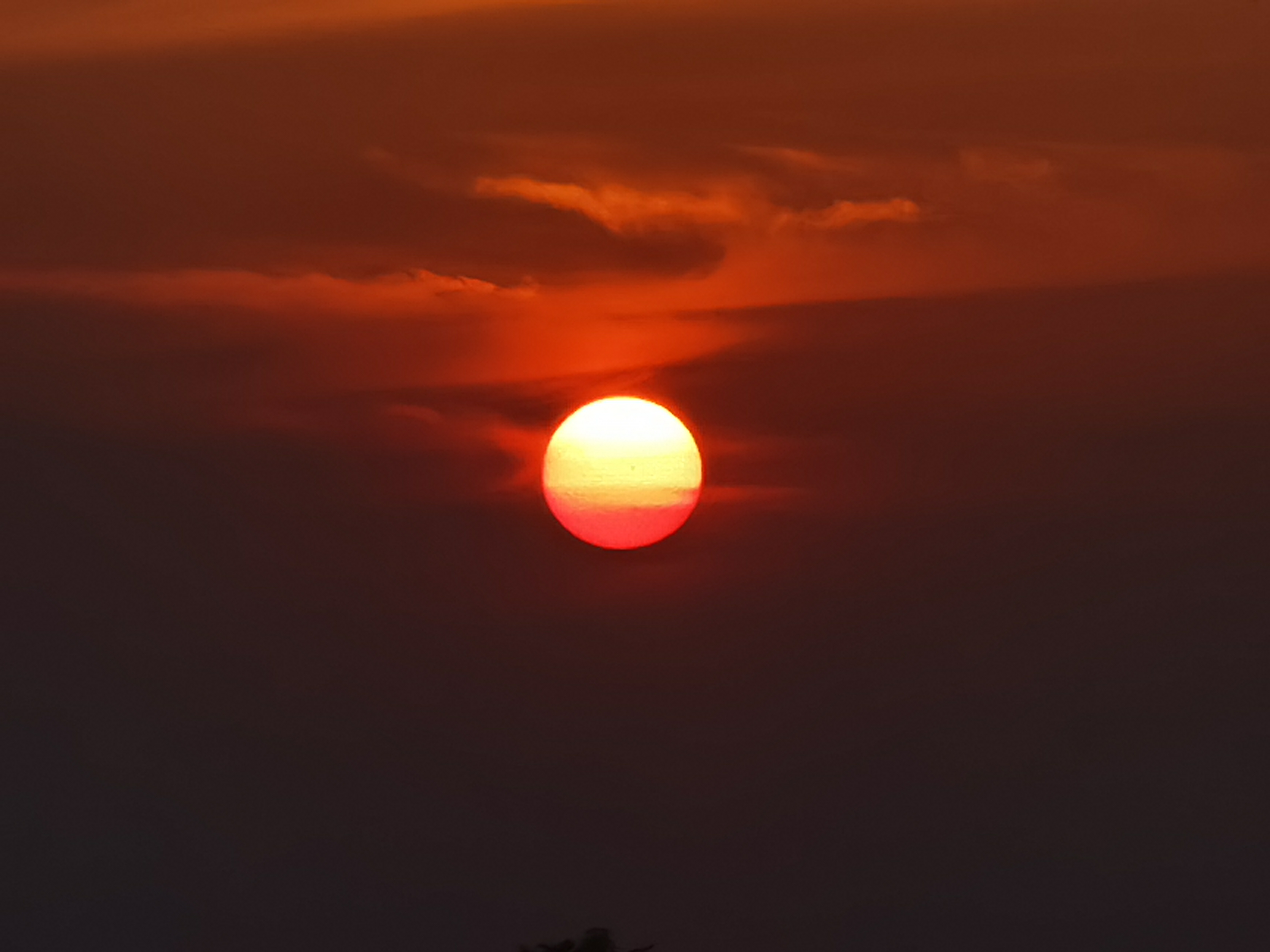 太阳从地平线缓缓升起,中央偏下方的位置,橙红色的光芒洒满大地,仿佛