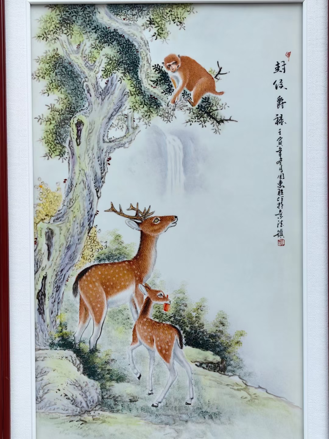 左侧那只成年鹿,眼神深邃,仿佛在诉说着森林的故事