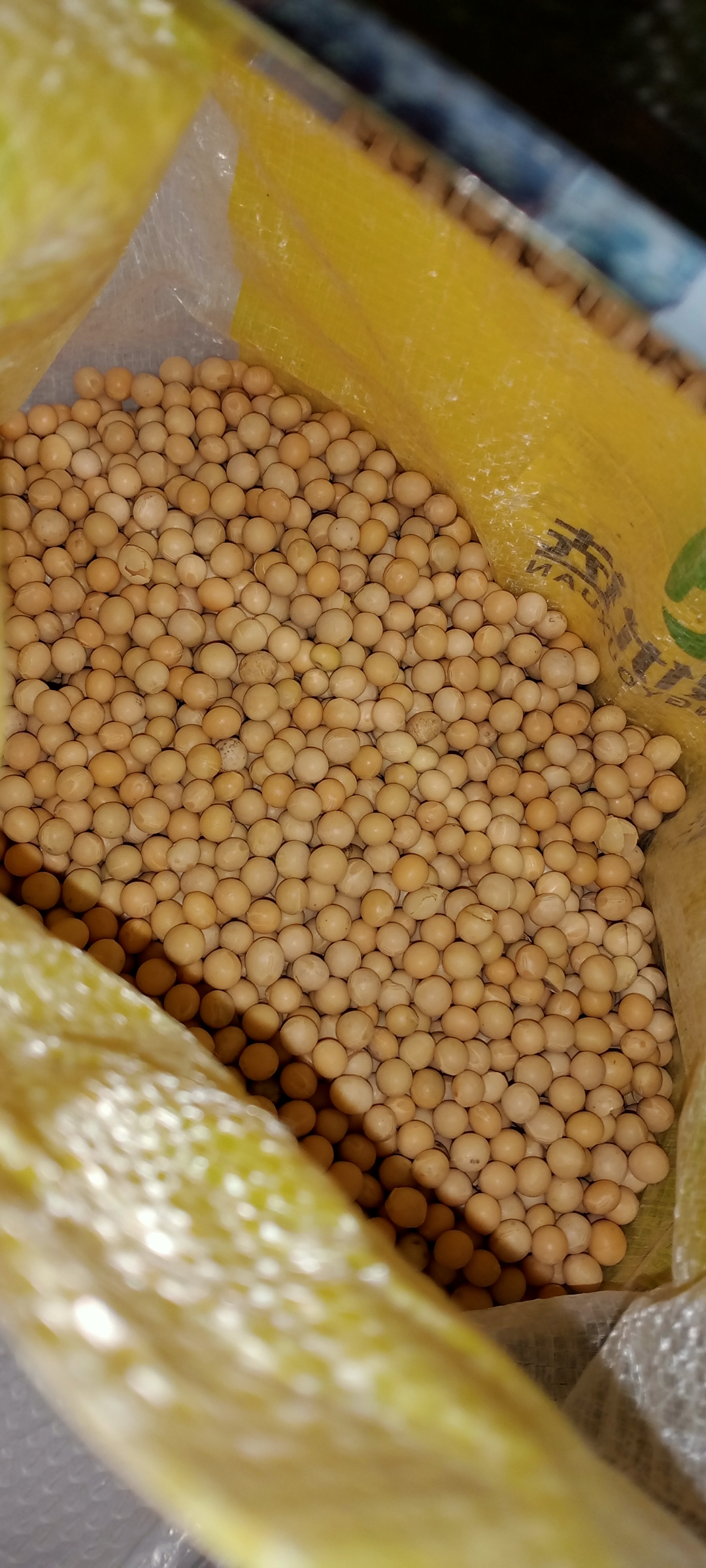 黄豆,也称为大豆,起源于中国,有着悠久的历史.