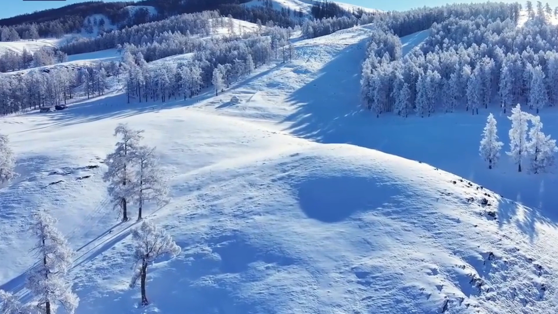 皑皑白雪天地为霜图片