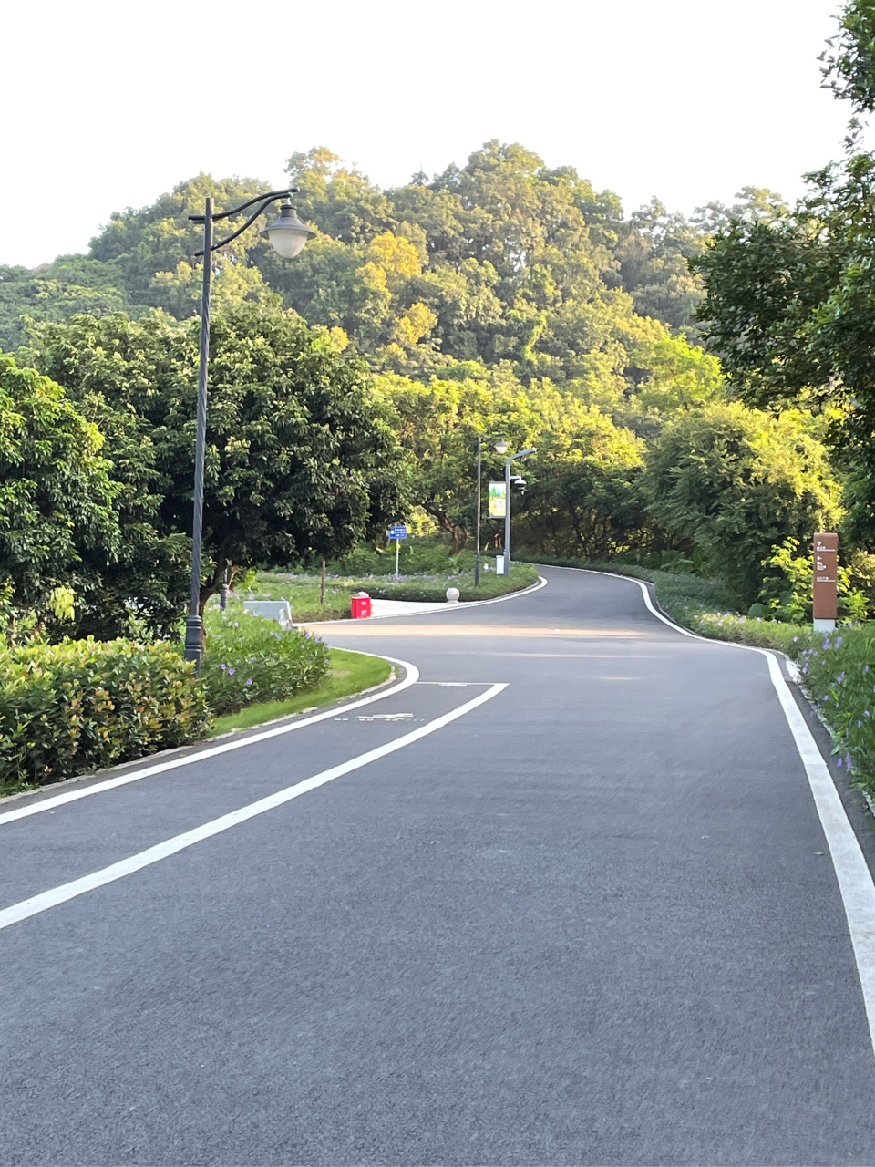 北辰郊野公园跑步图片