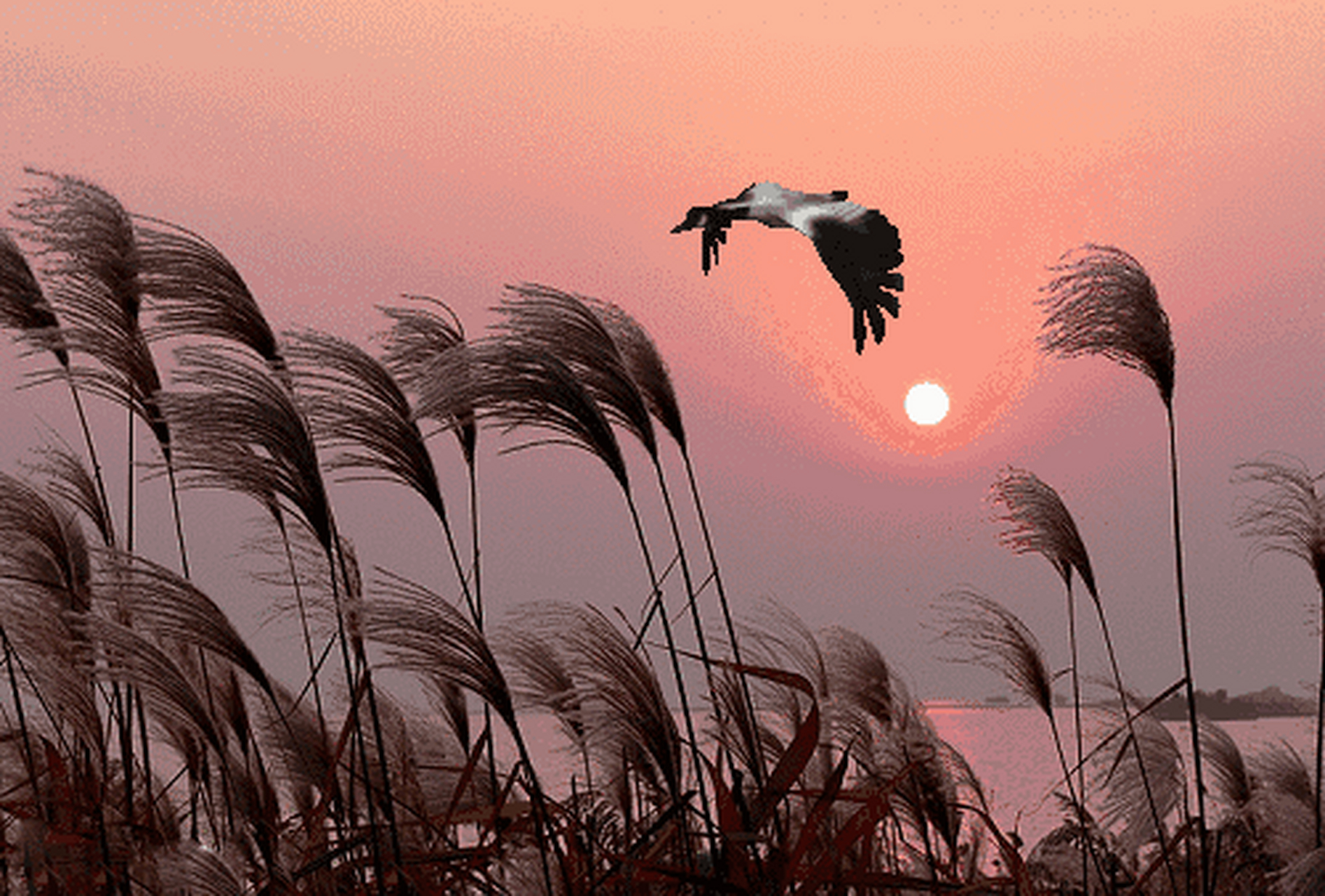 嗟叹岁月急,碾额添新痕.