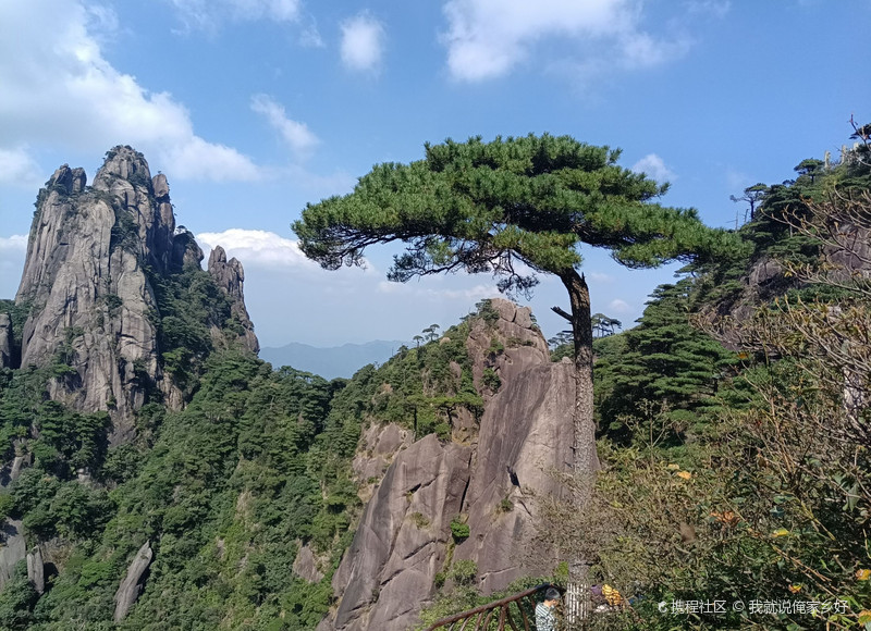 新手帮扶计划