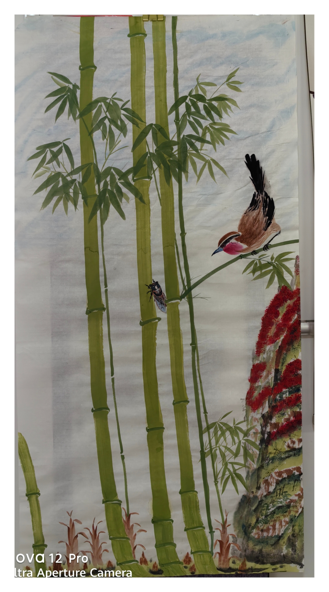 哇,这 up 主画的竹子和鸟儿,真是活灵活现,我仿佛能听到竹林里的鸟鸣