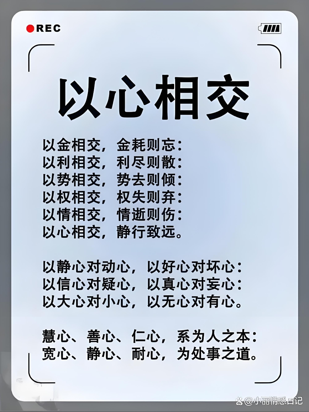 豌豆荚