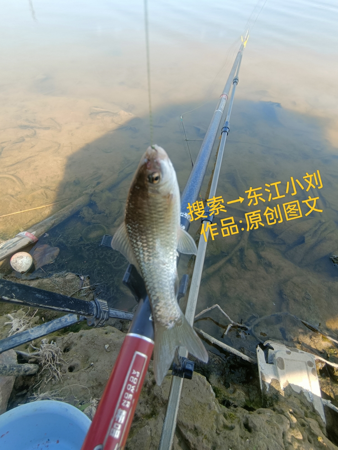 有哪位网友知道的,可以告诉我一下,这到底