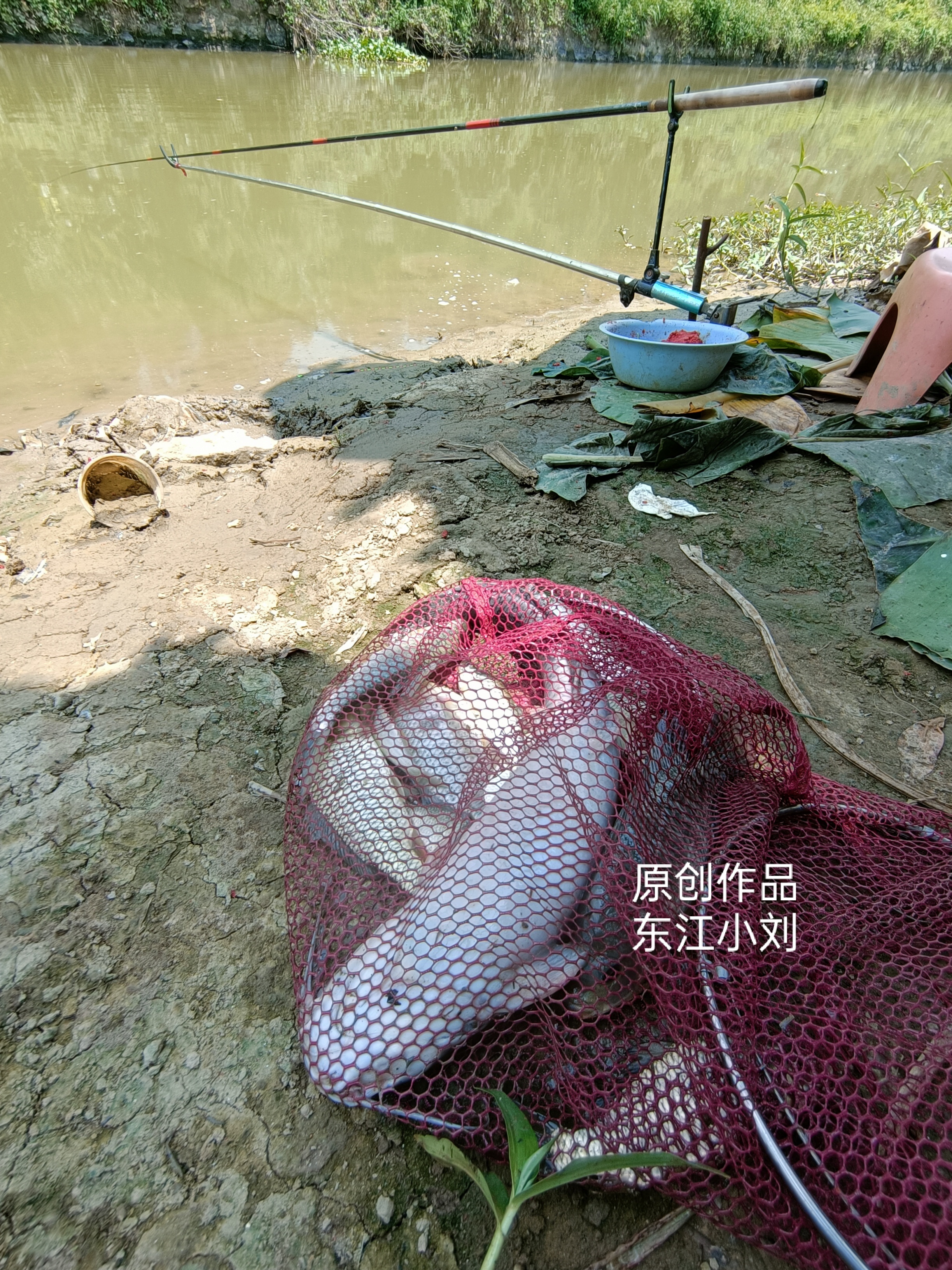 昨天中午在惠州小河钓鱼,仅仅用了两个多小时,这条河资源太香了.