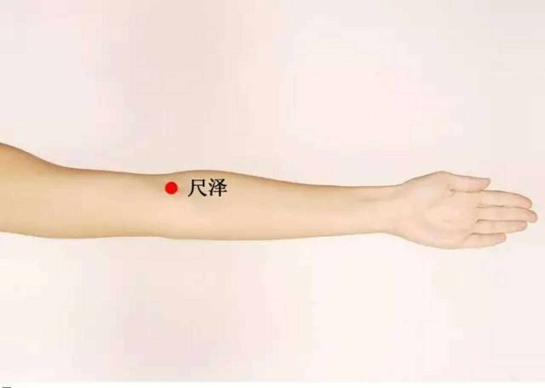 尺泽穴降肺气补肾气 "尺"即尺肤,指前臂部,"泽"即沼泽,为水聚处.