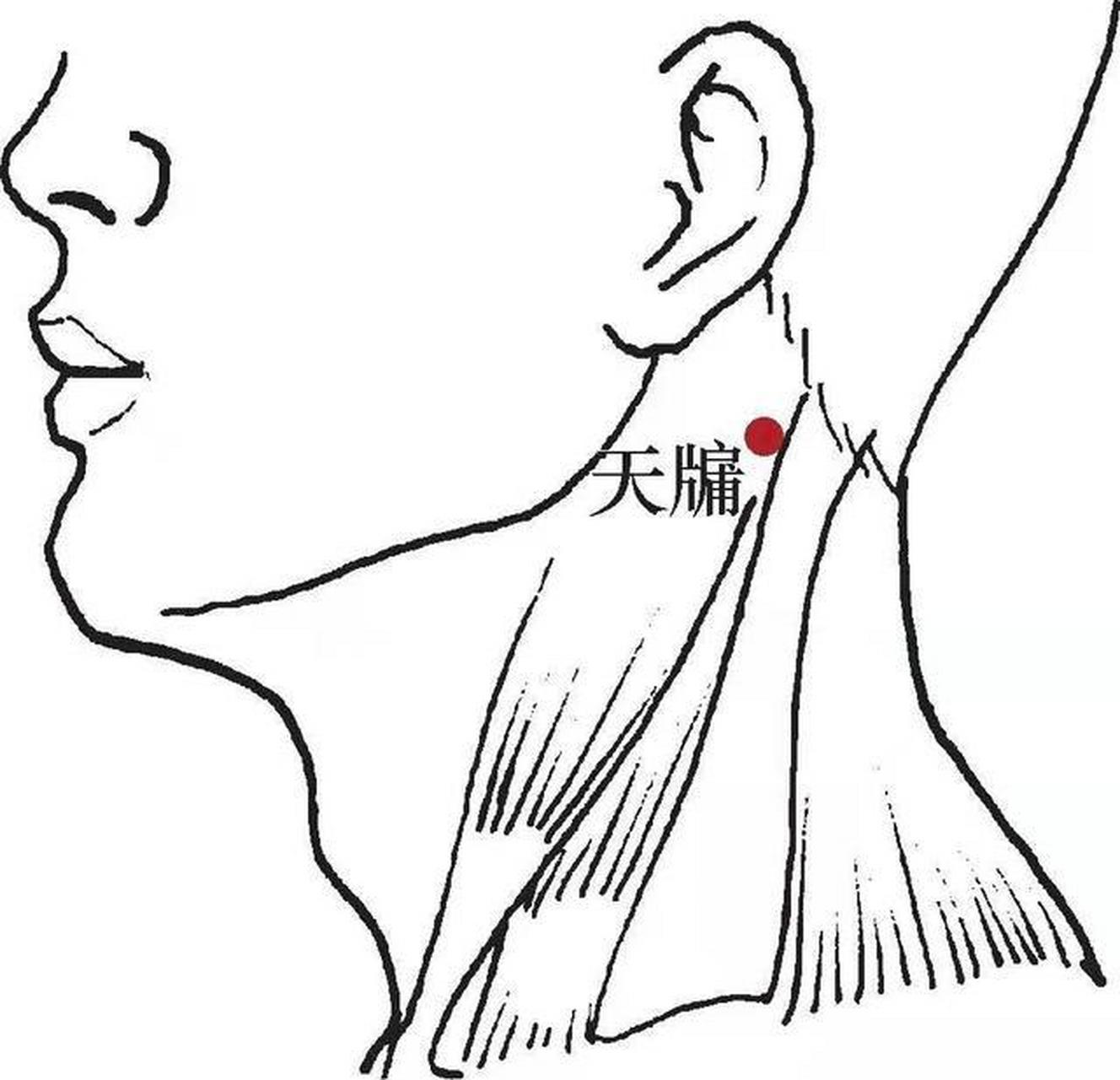 颈后神经痛,颈椎痛—天牖穴 天牖穴,也称天听穴.