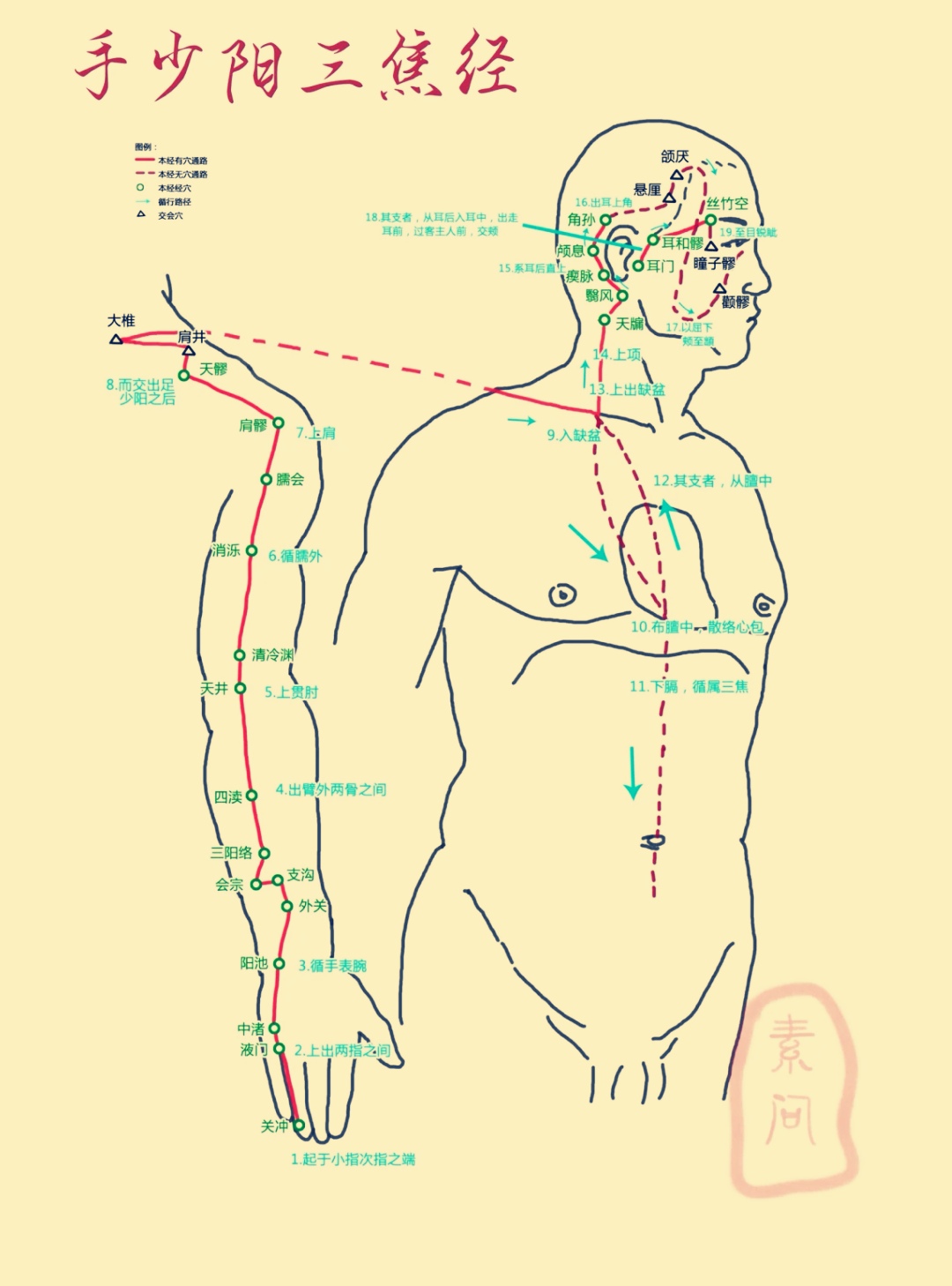 人体手三阴三阳经络详解 中医   经络疏通
