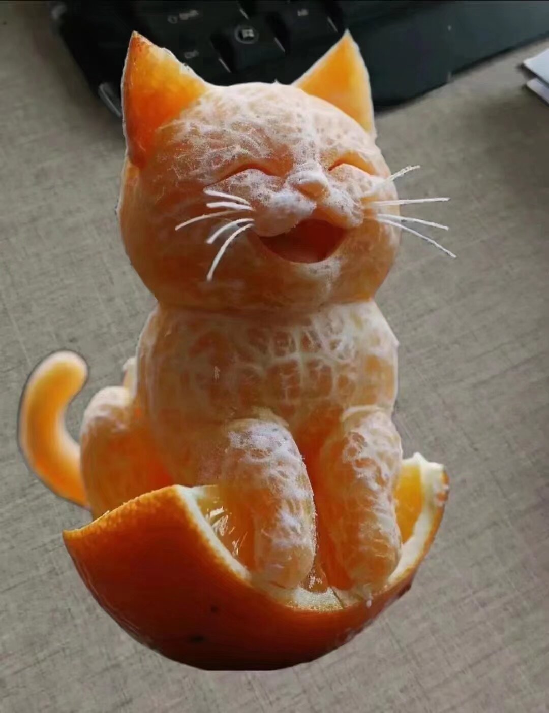 这么可爱的橘子猫,都不舍得吃啦.看着它萌萌的样子,心都被融化了.