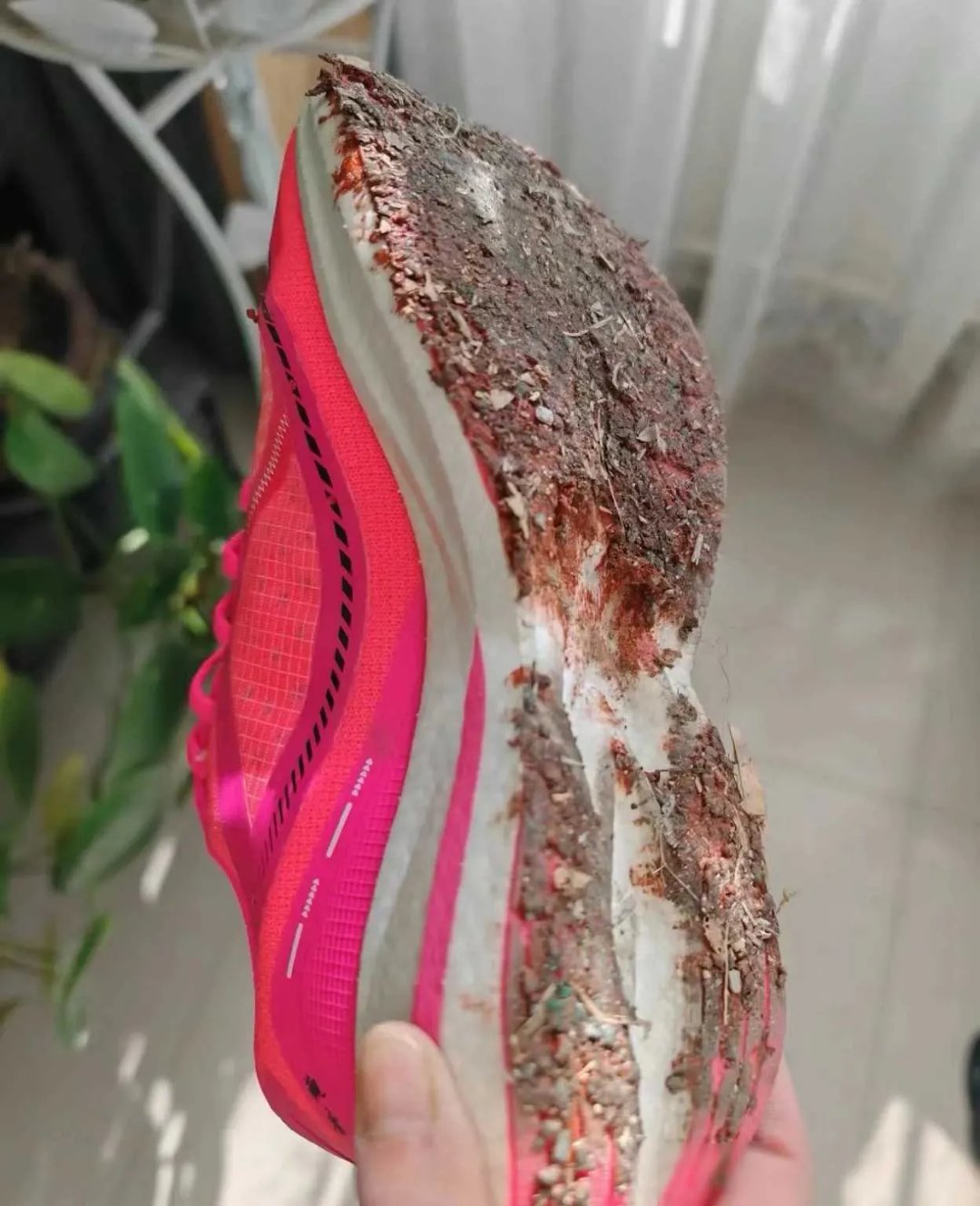 在生活中的小插曲,让人捧腹大笑的同时也引发了一系列关于跑鞋的思考