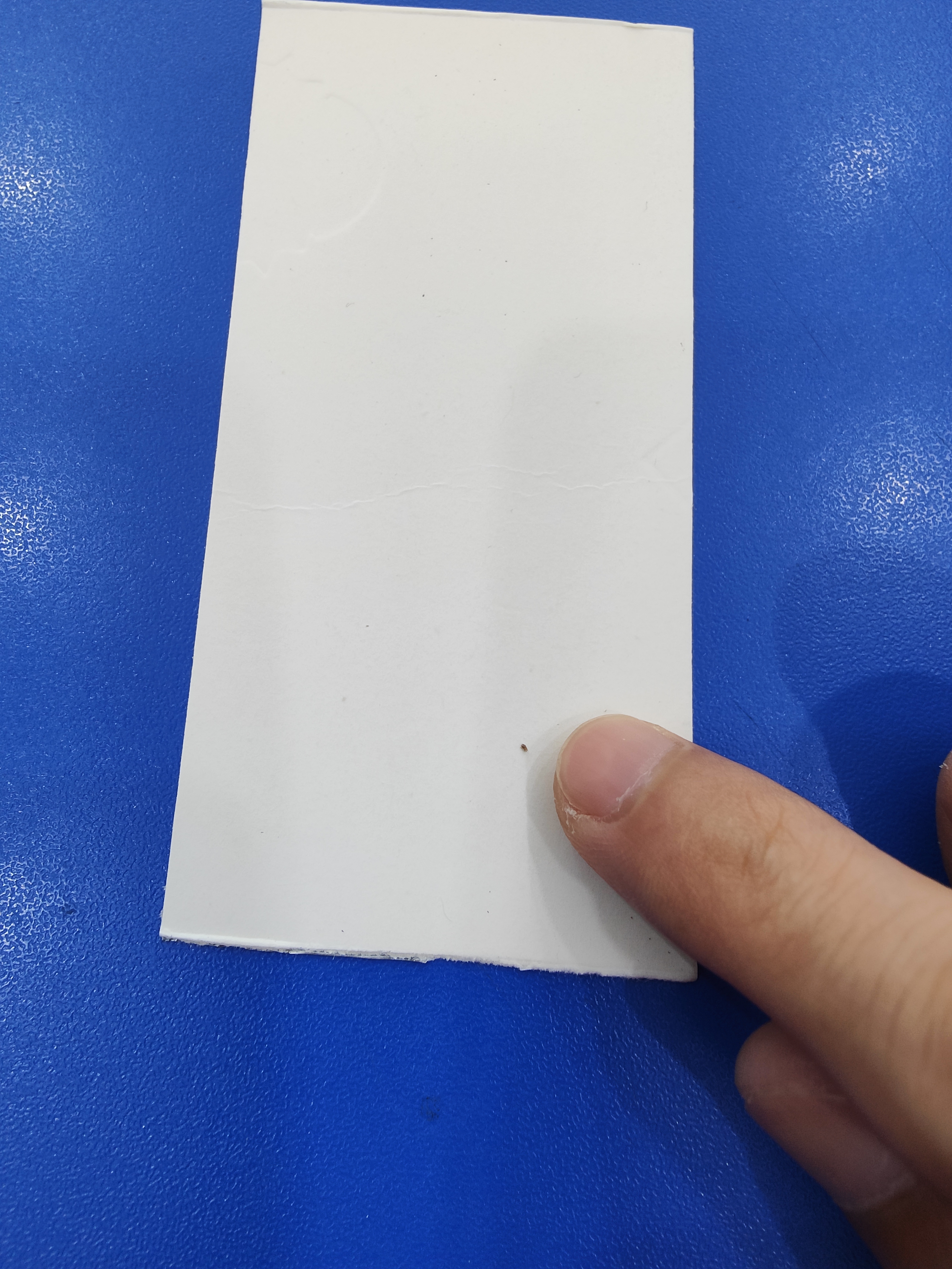 也不像尘虱,到底是什么虱?