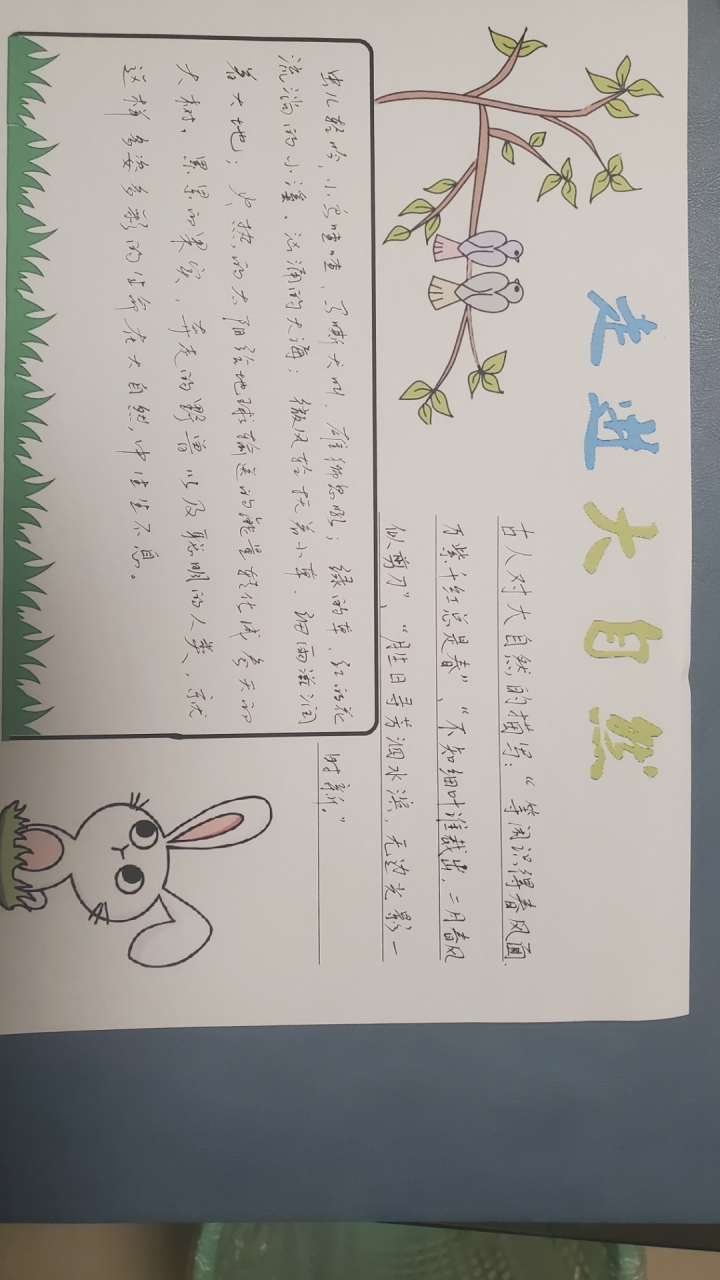 走进大自然 手抄报