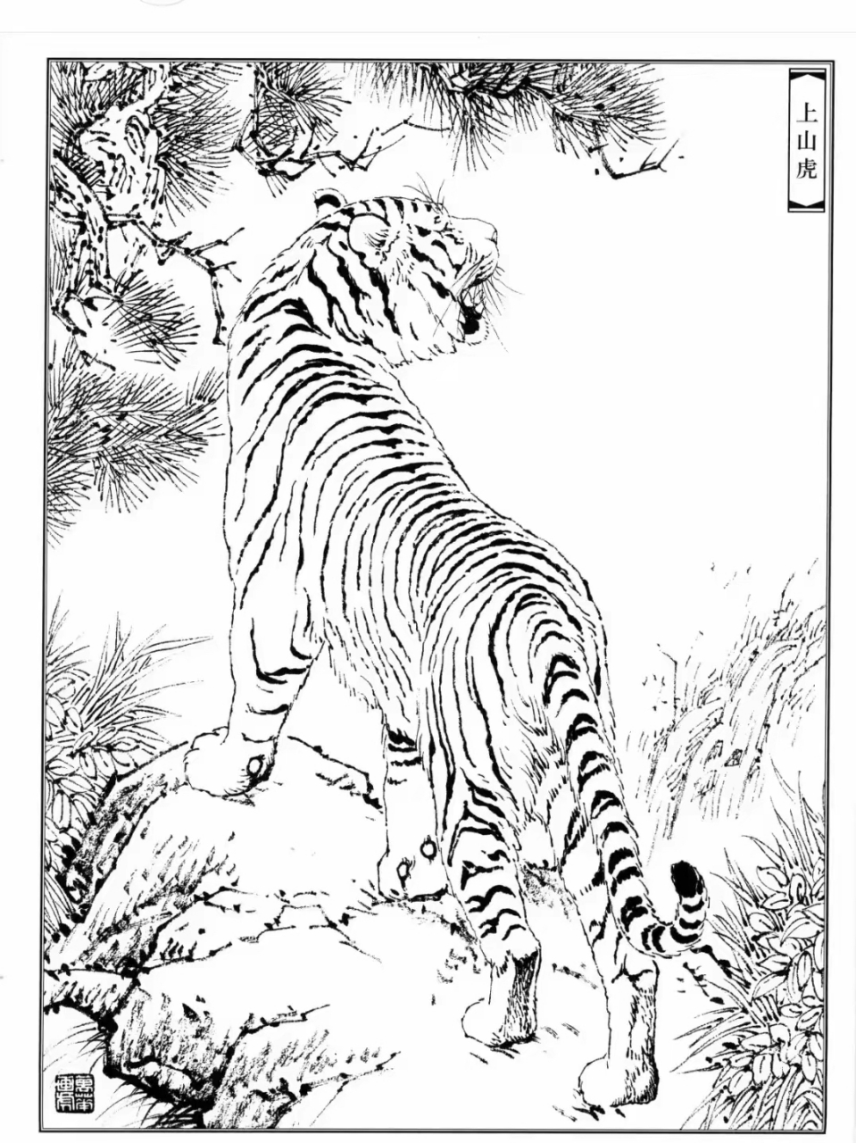 白描 | 百兽之王 上山虎威风凛凛,气势如虹.