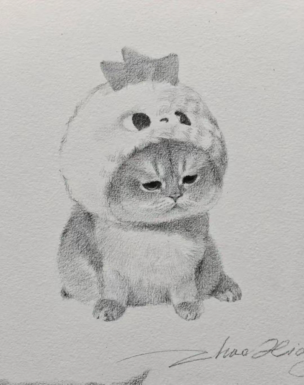 素描 | 宠物猫 喵星人破墙而出,萌力十足!