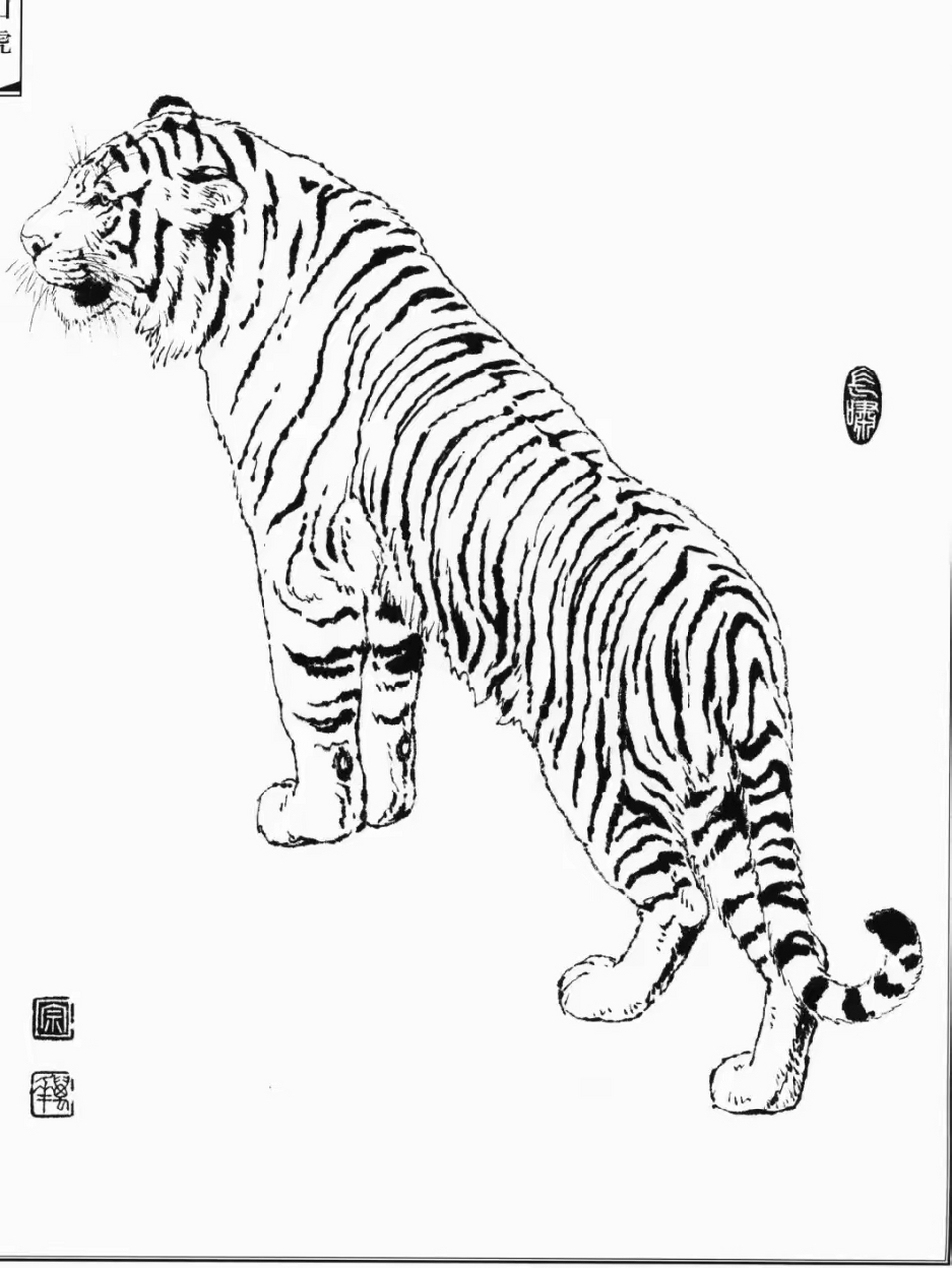 白描 | 百兽之王 上山虎威风凛凛,气势如虹.