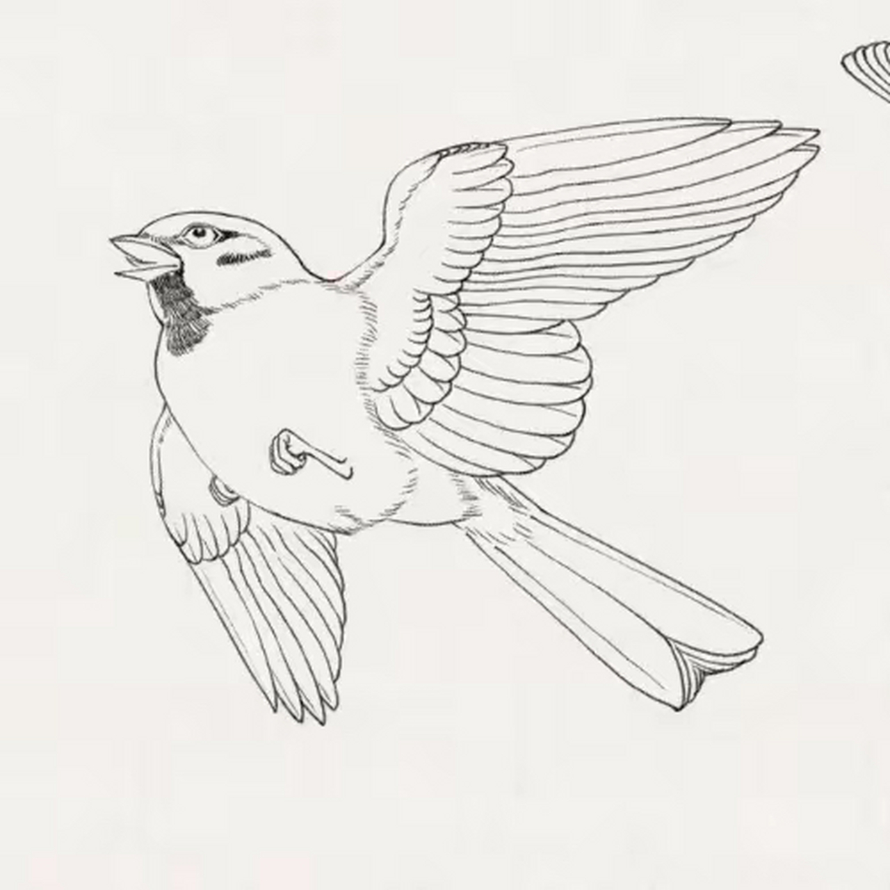 白描|麻雀作品