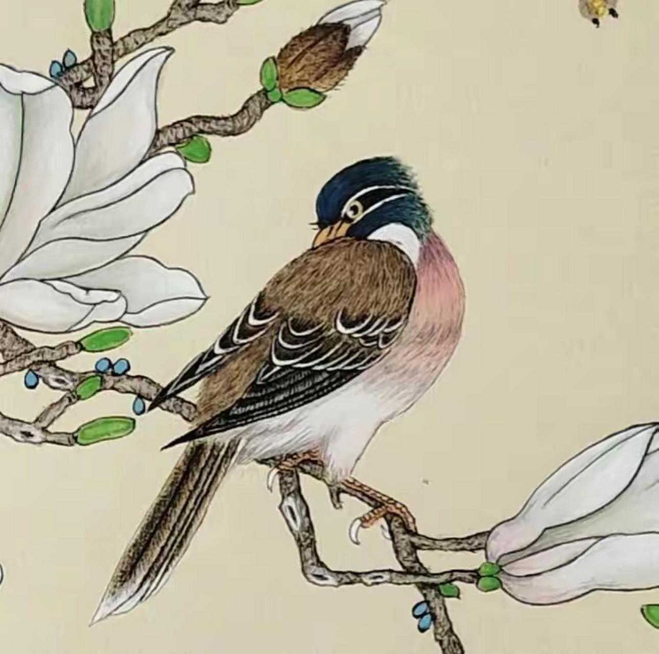 东方艺术|工笔画鸟