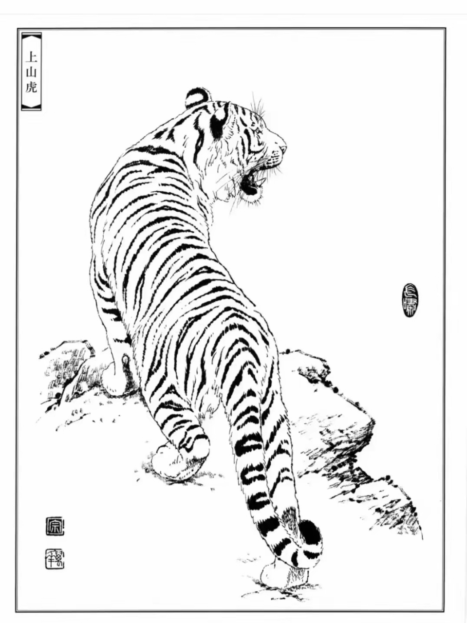白描 | 百兽之王 上山虎威风凛凛,气势如虹.